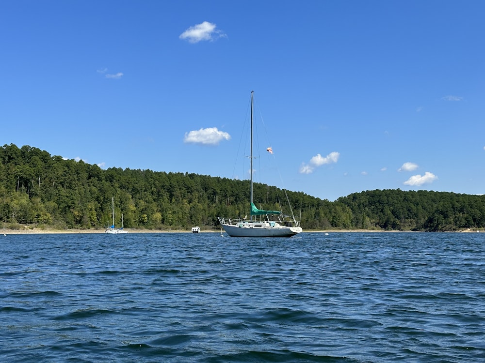 a sailboat on a lake with a forest in the background