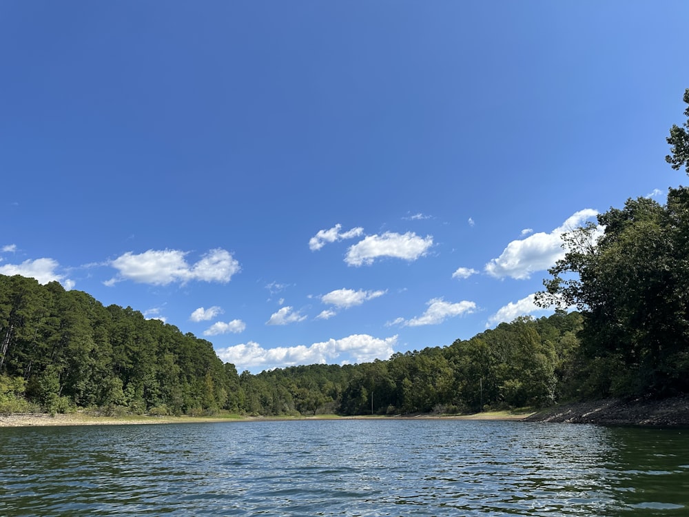 a body of water surrounded by trees on a sunny day