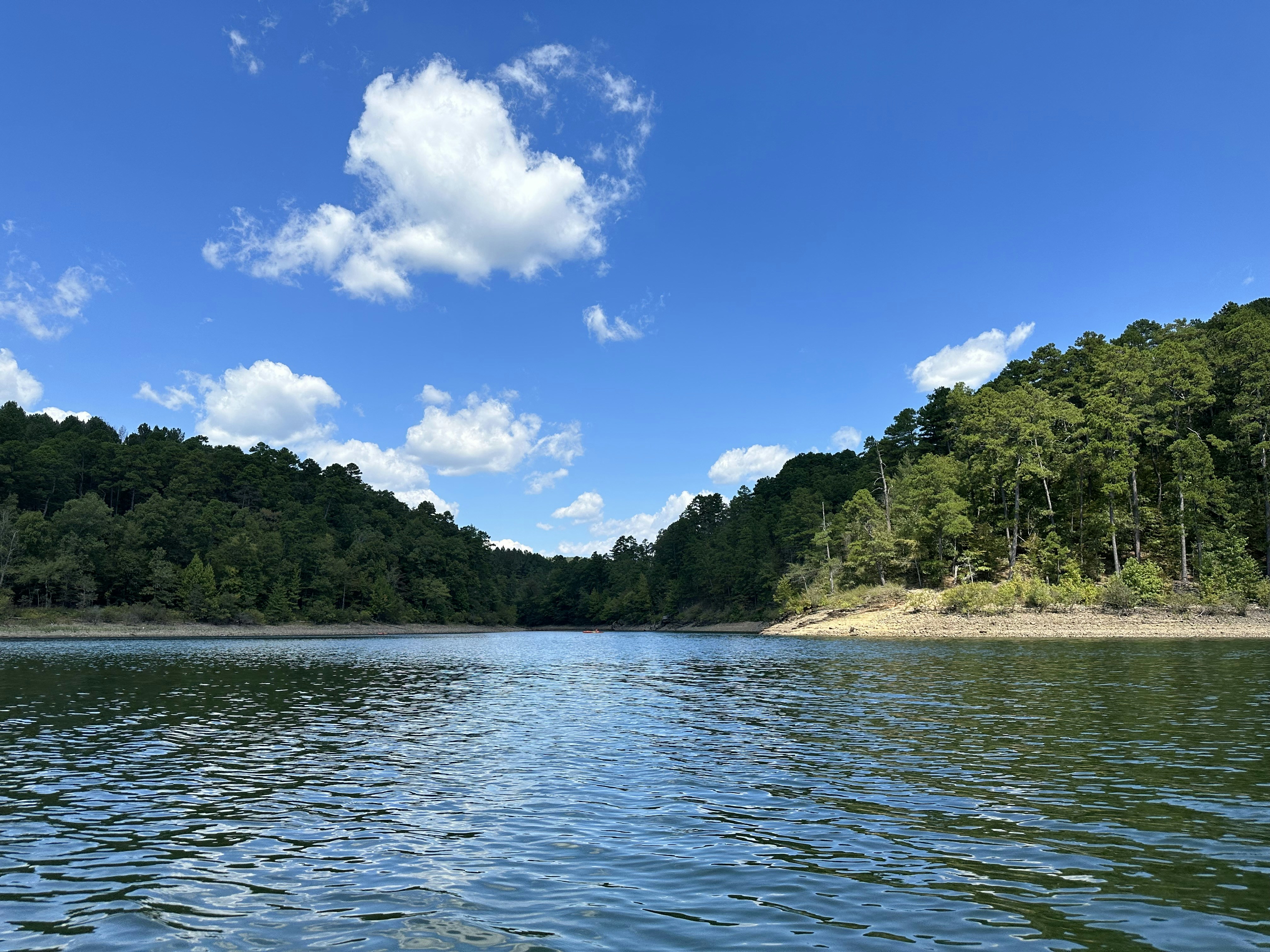 a body of water surrounded by trees on a sunny day