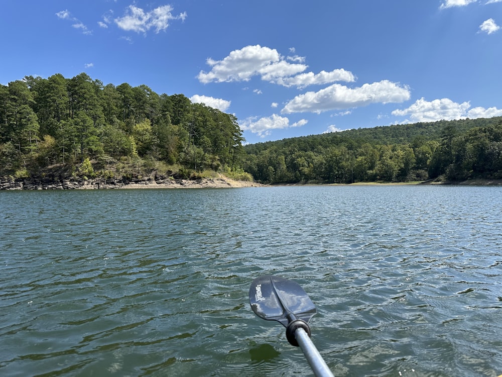 a view of a body of water with trees in the background