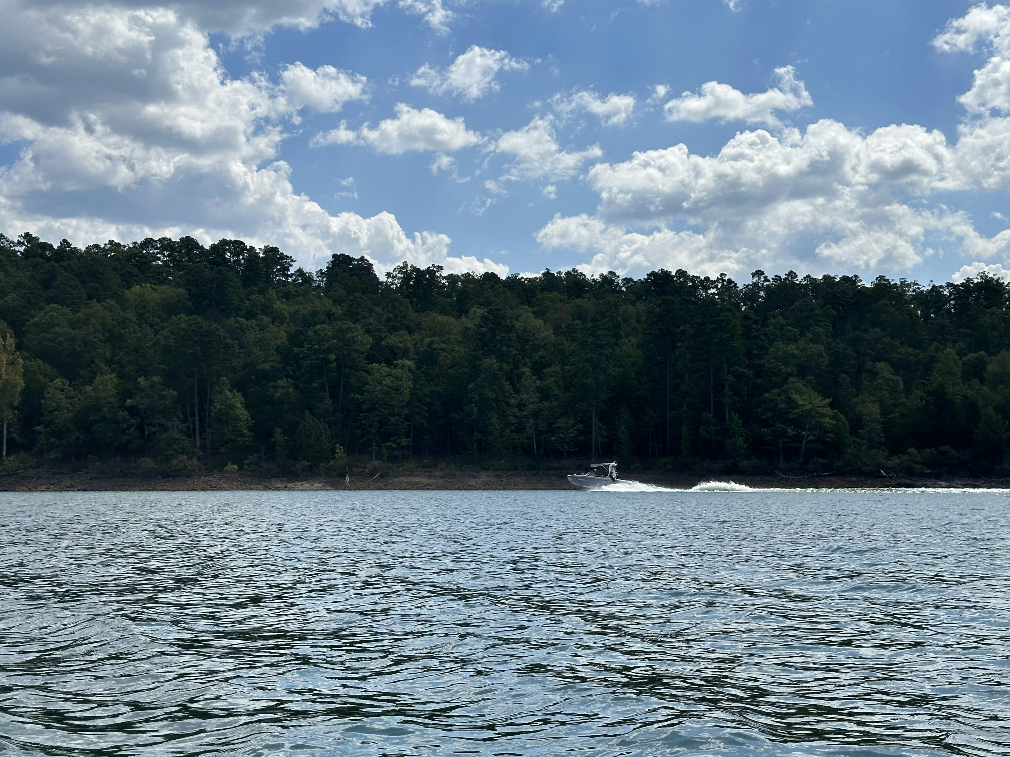a boat on a body of water with trees in the background