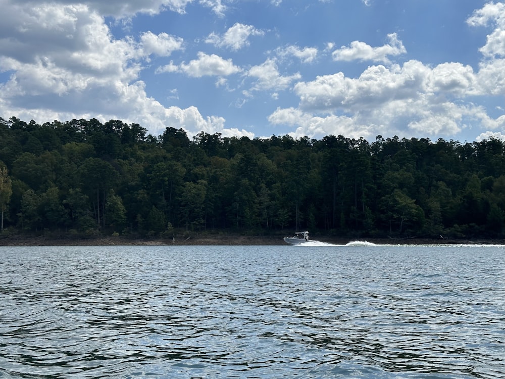 a boat on a body of water with trees in the background