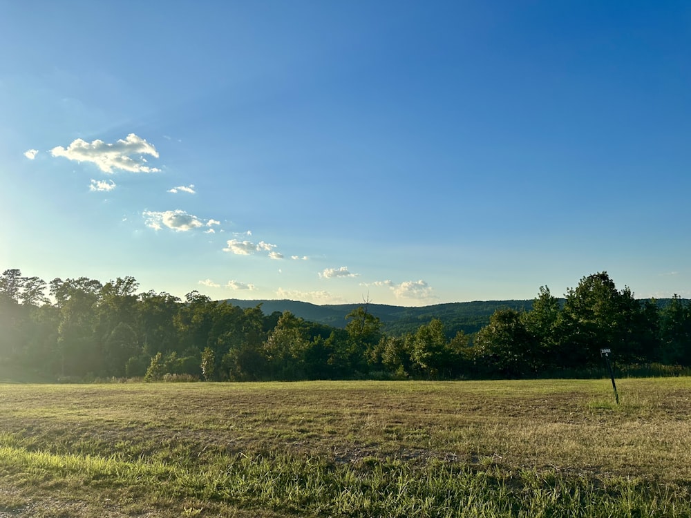 a large open field with trees in the background