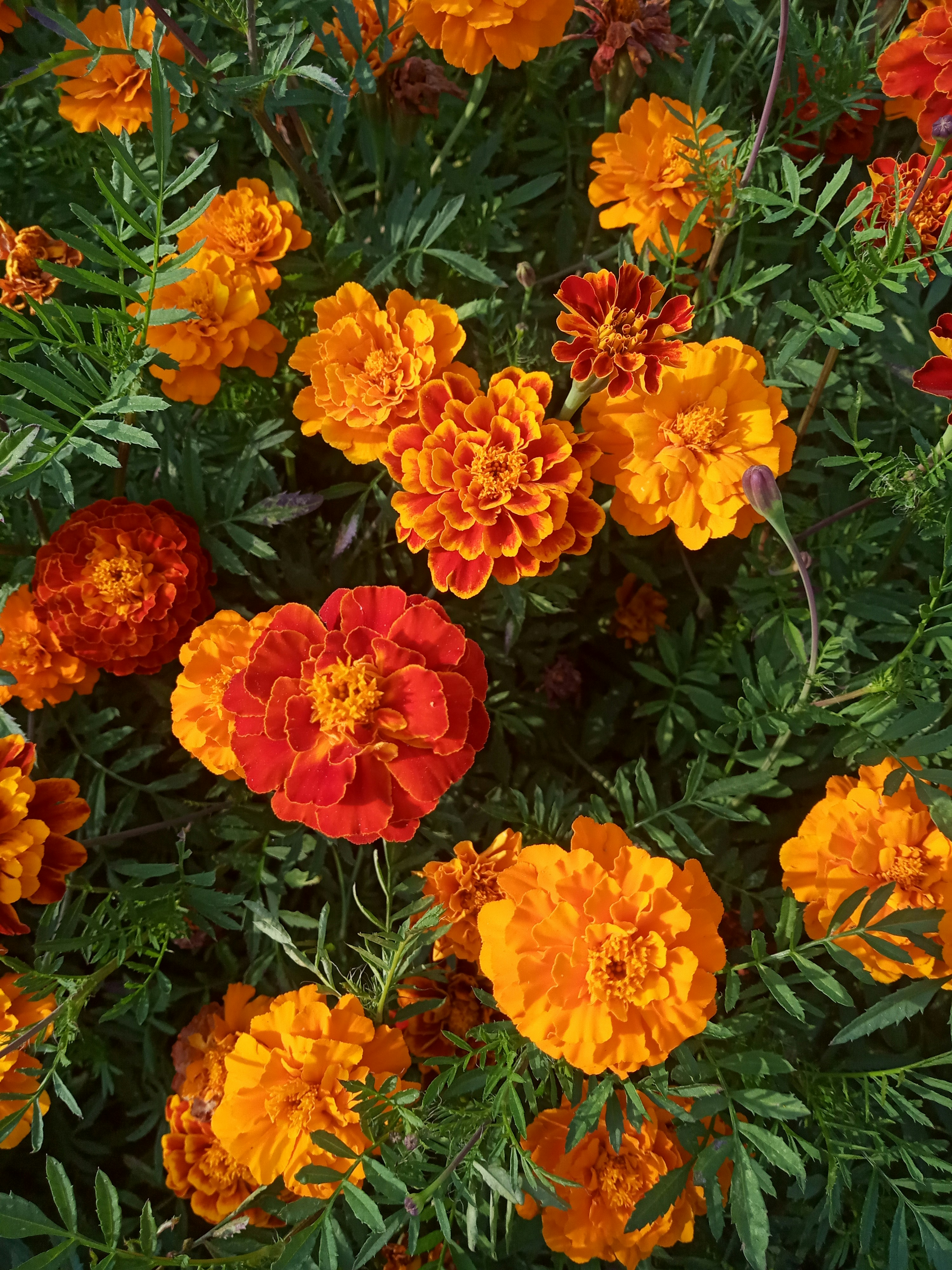 Photo by dmitry_burdakov