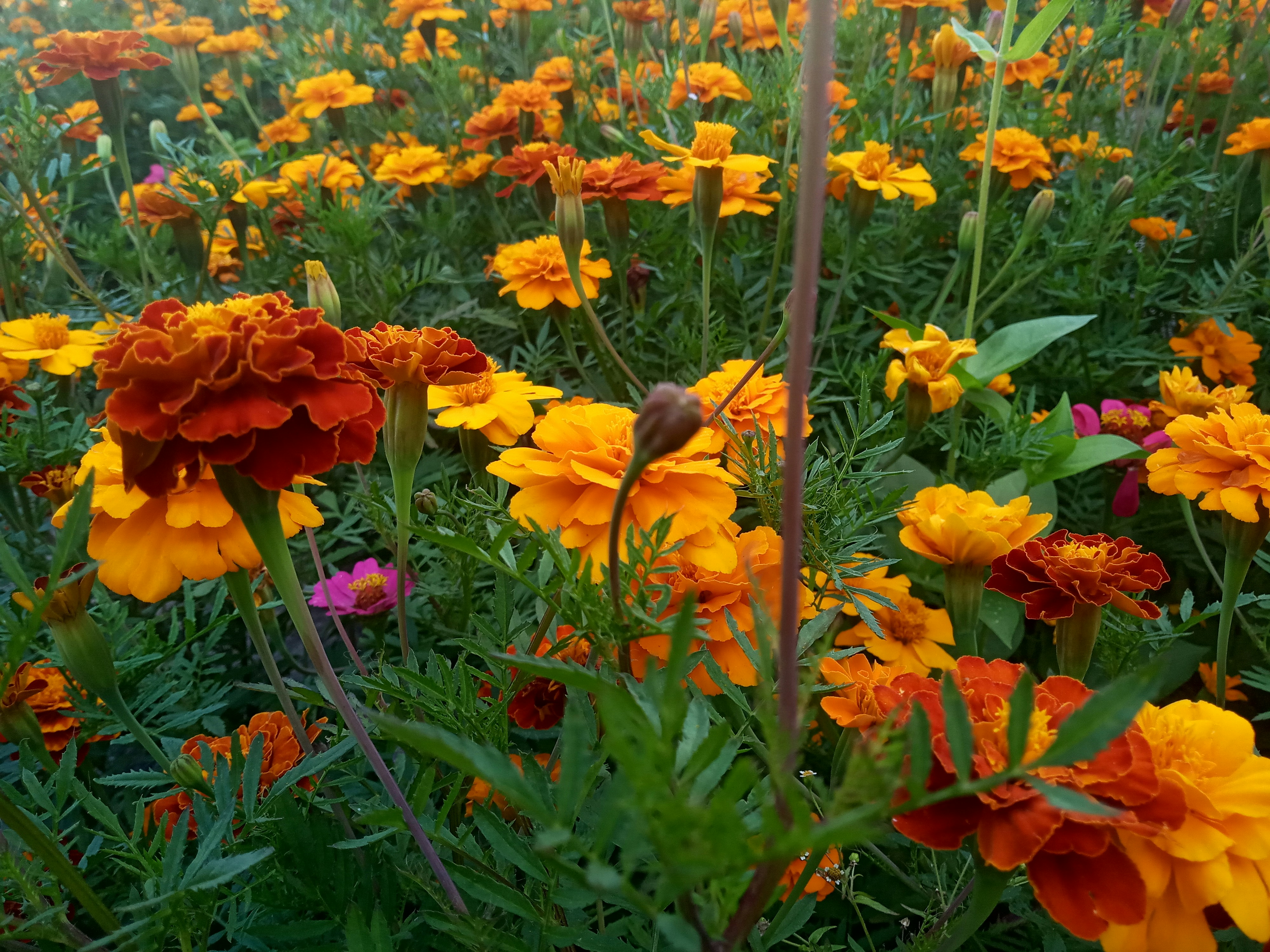 Photo by dmitry_burdakov