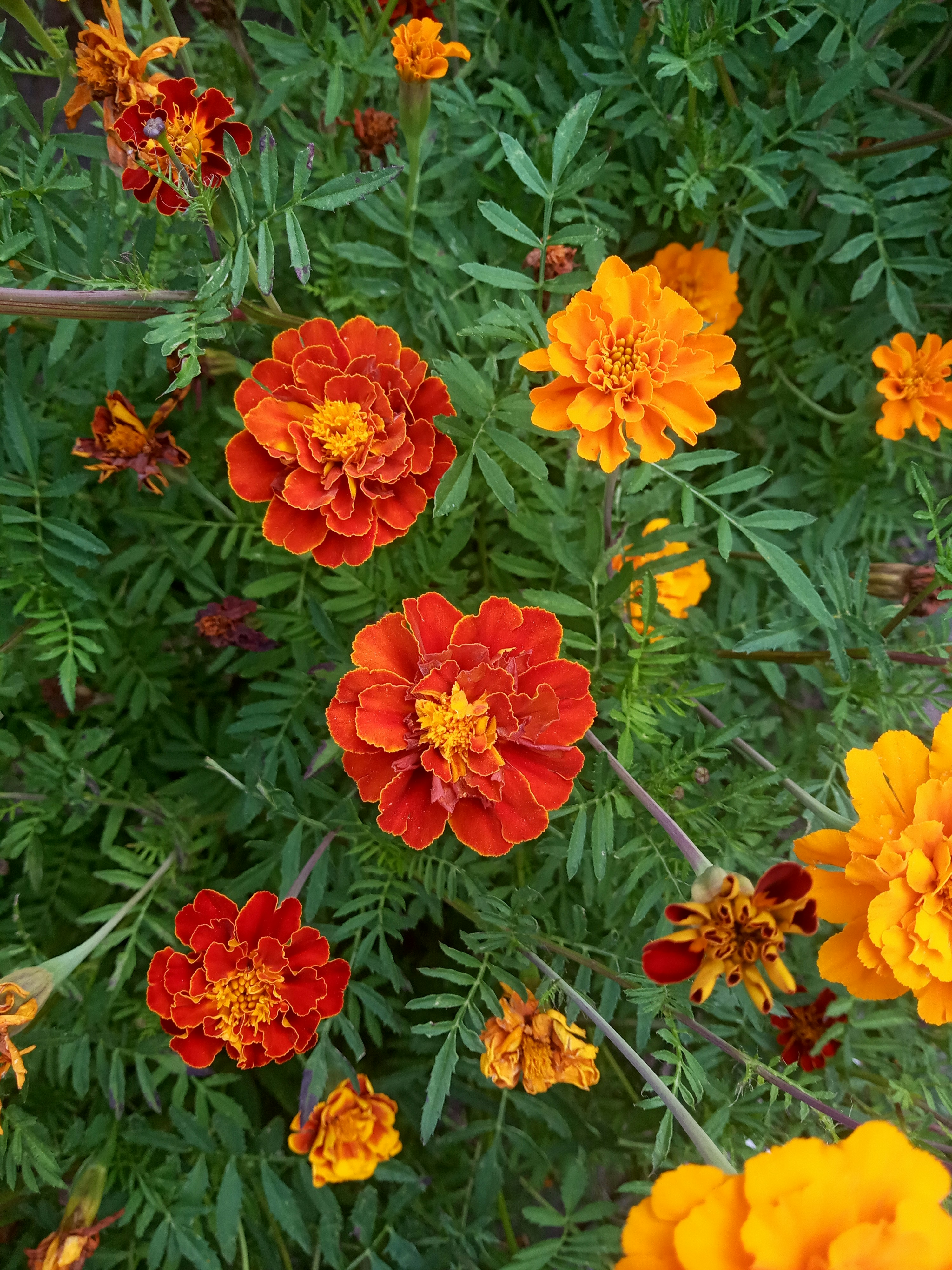 Photo by dmitry_burdakov