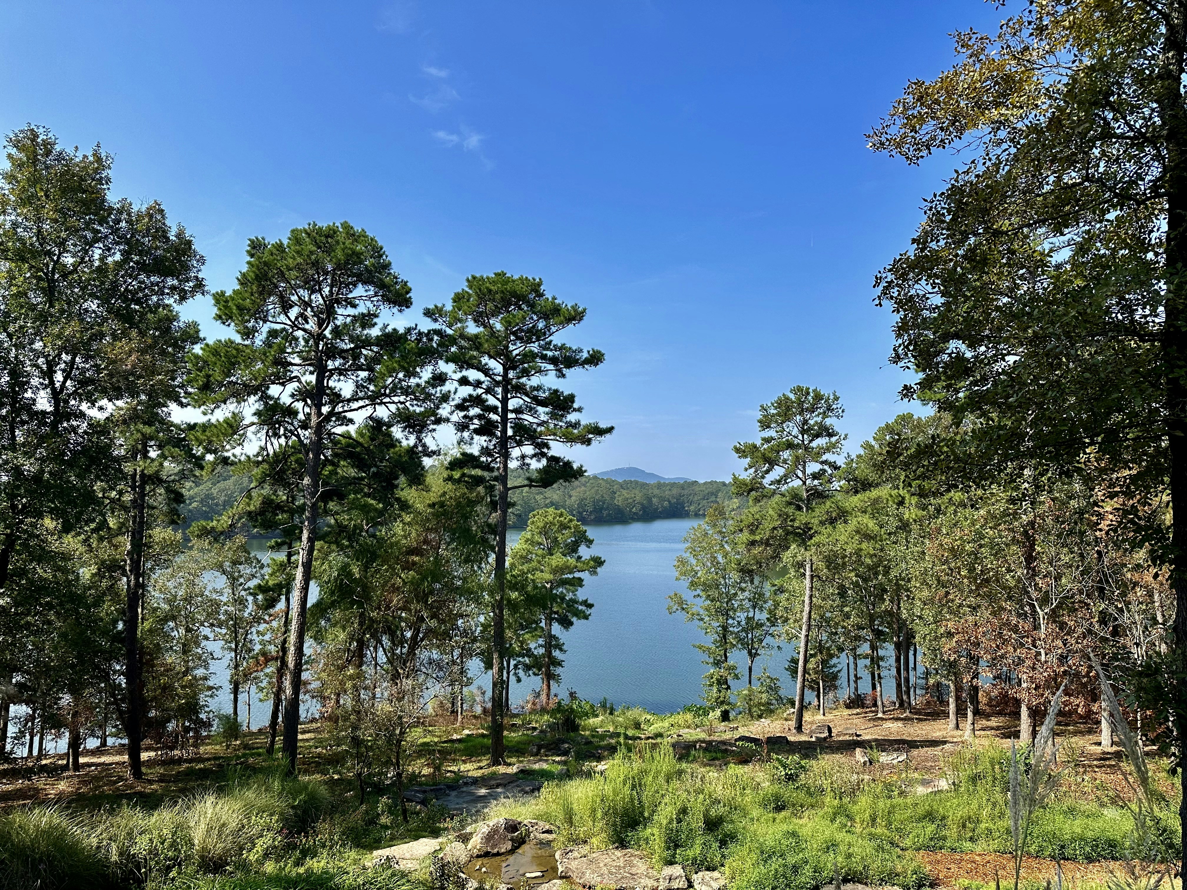 a scenic view of a lake surrounded by trees, 