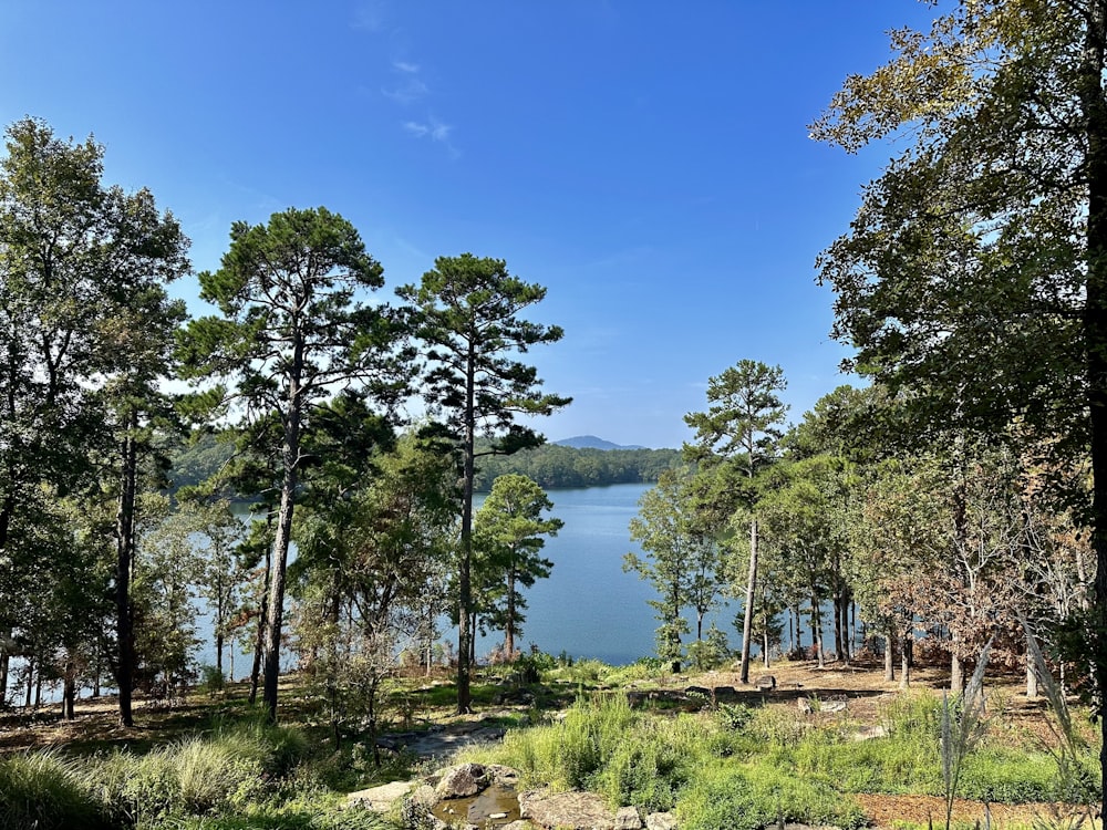 a scenic view of a lake surrounded by trees