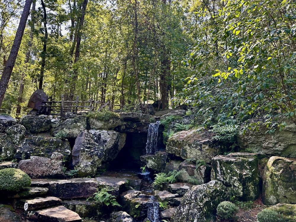 a small waterfall in the middle of a forest