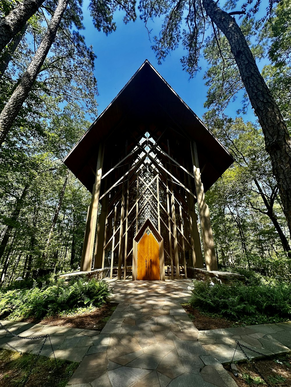 a wooden structure in the middle of a forest