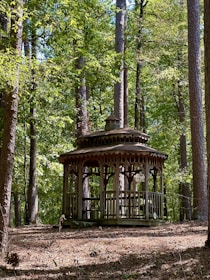 A charming wooden gazebo nestled in a green backyard on Long Island.
