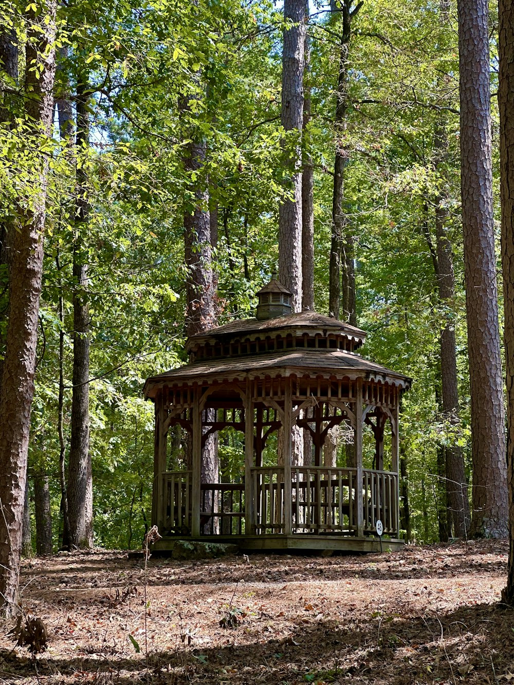 a gazebo in the middle of a forest surrounded by trees