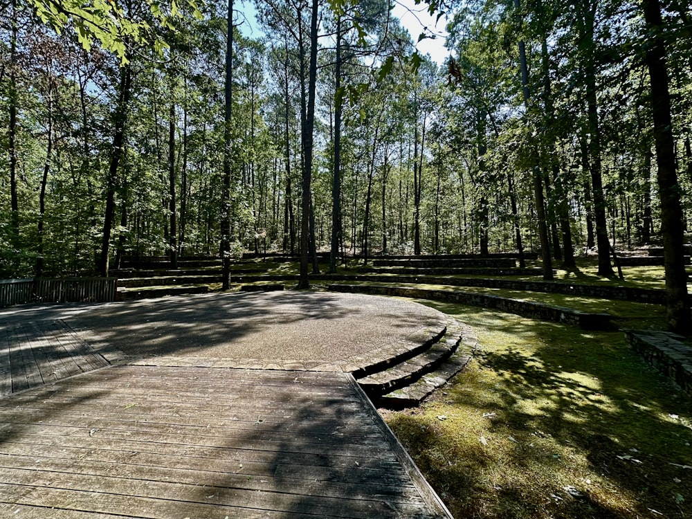 a wooden platform in the middle of a forest