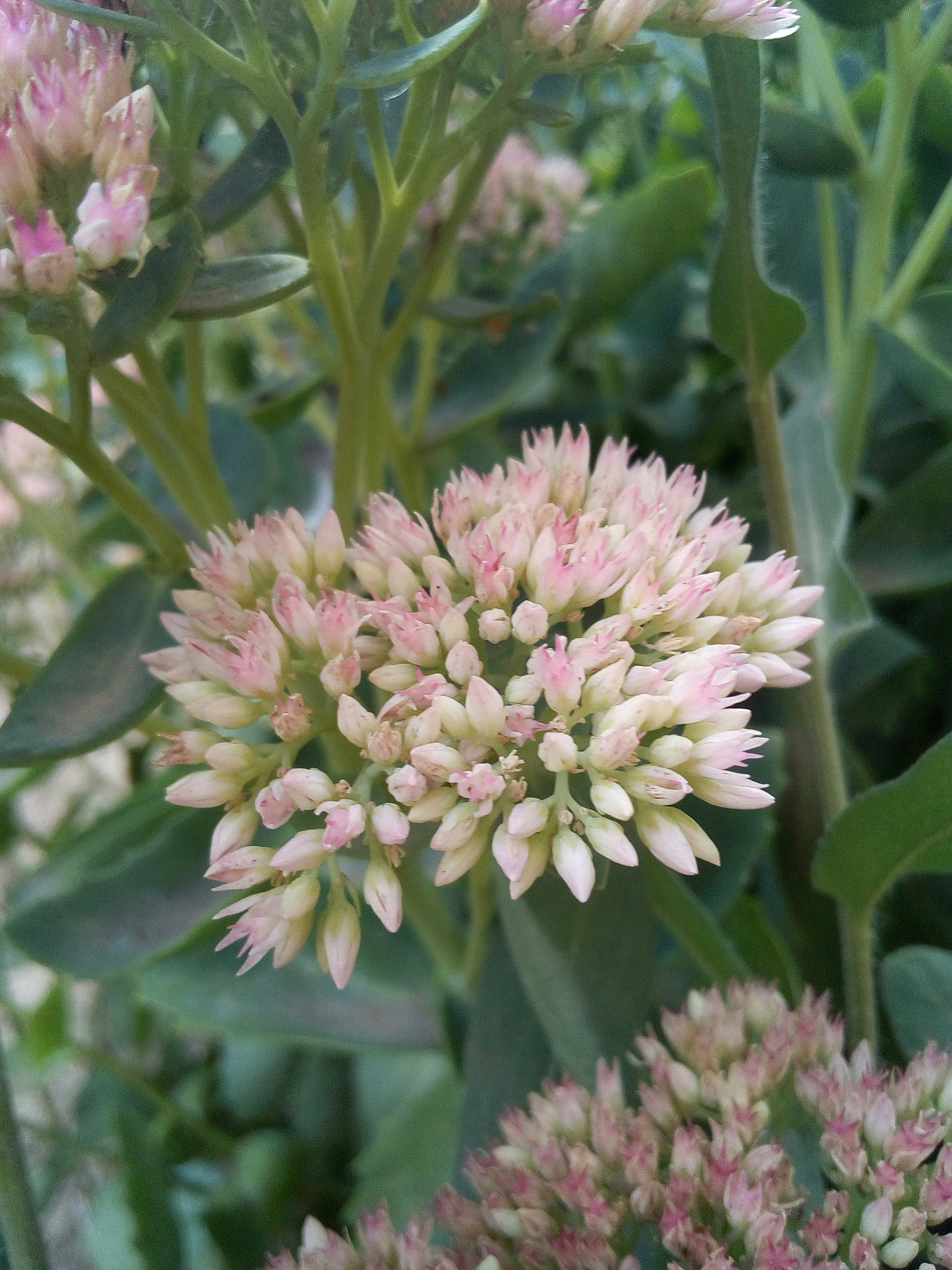 Photo by dmitry_burdakov