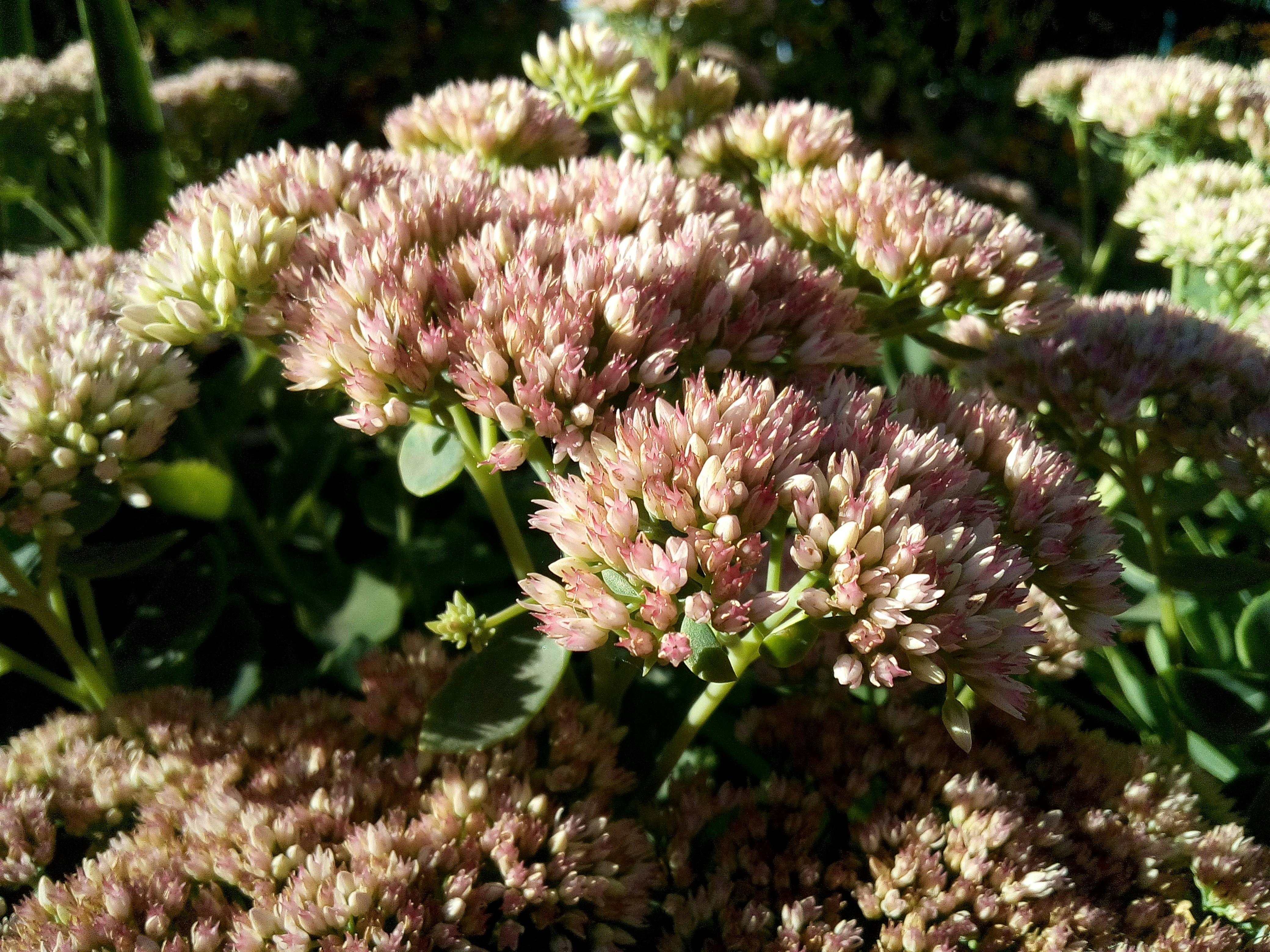 Photo by dmitry_burdakov