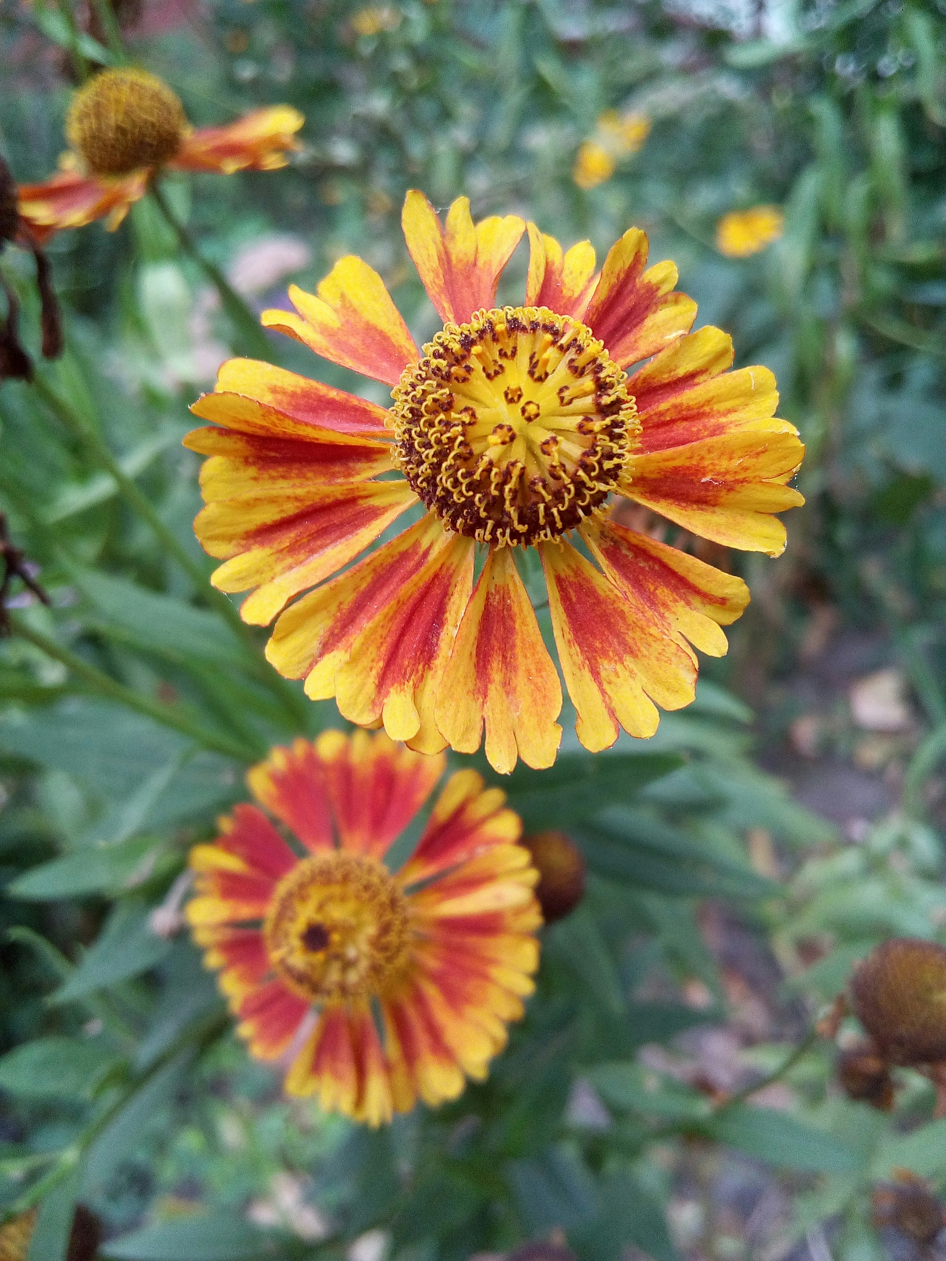 Photo by dmitry_burdakov