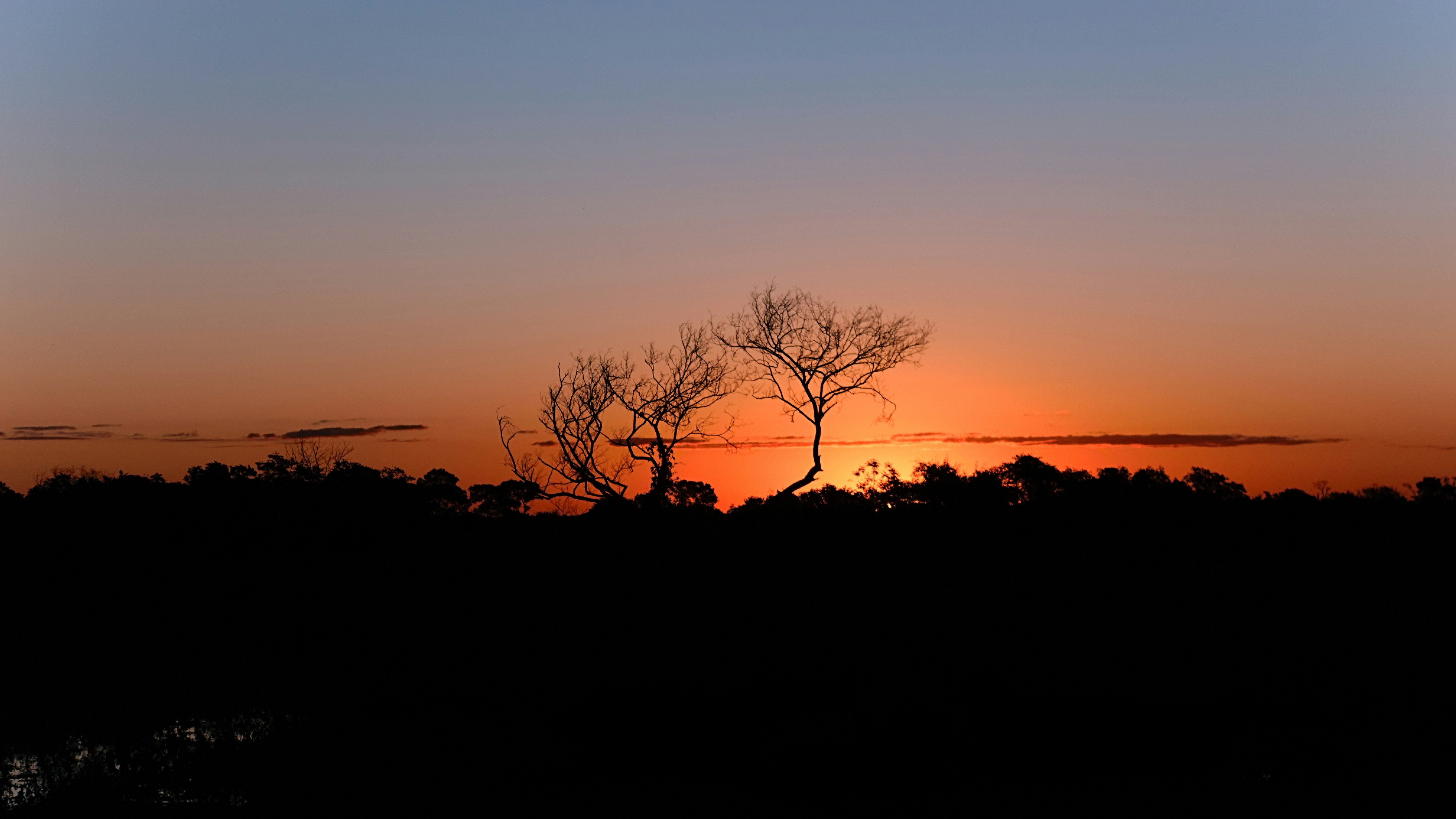 Photo by filipesizilio