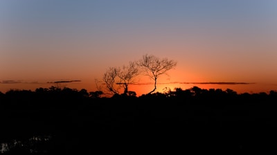 Night Safari in Cuiaba Pantanal
