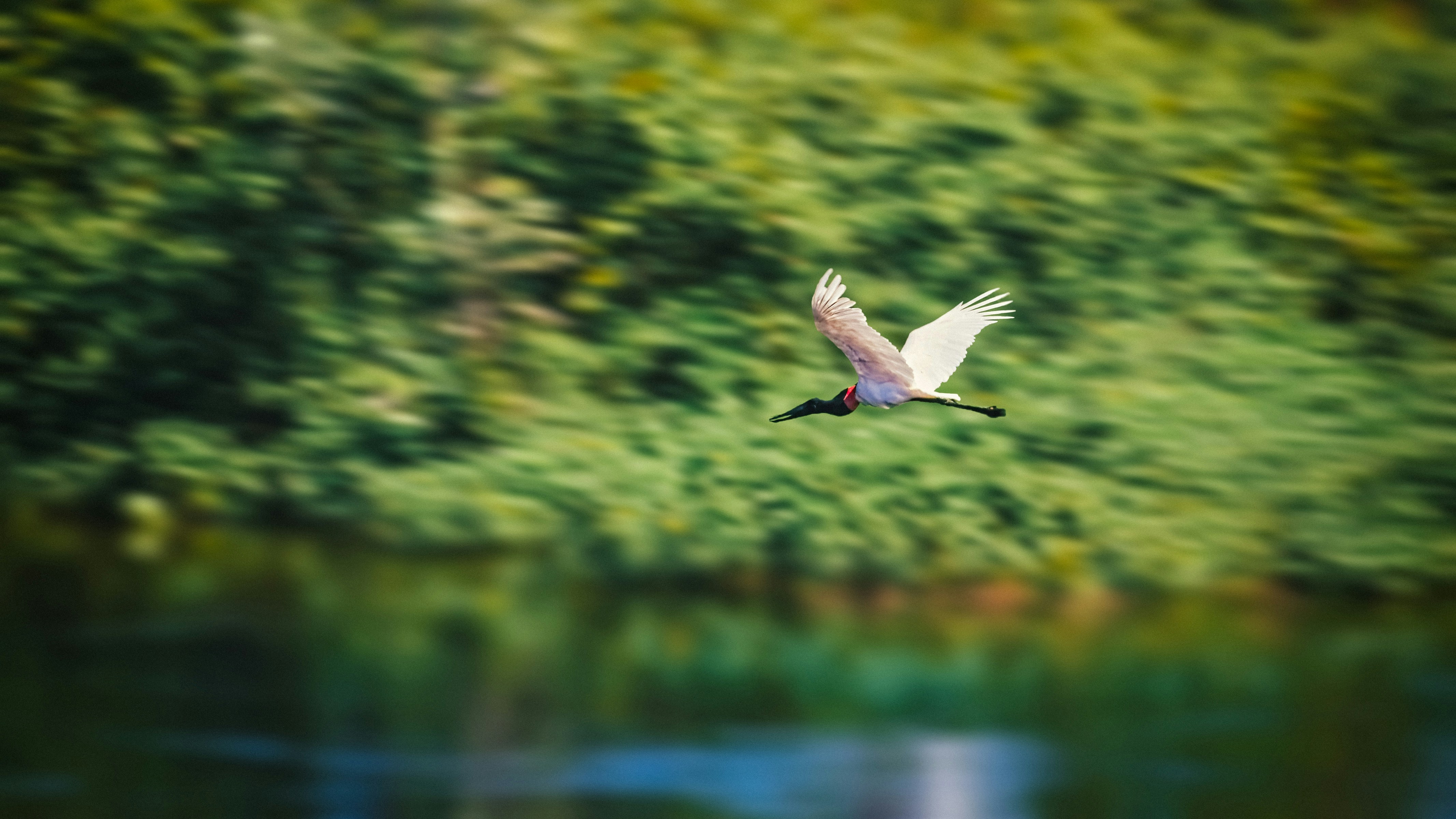 Photo by filipesizilio