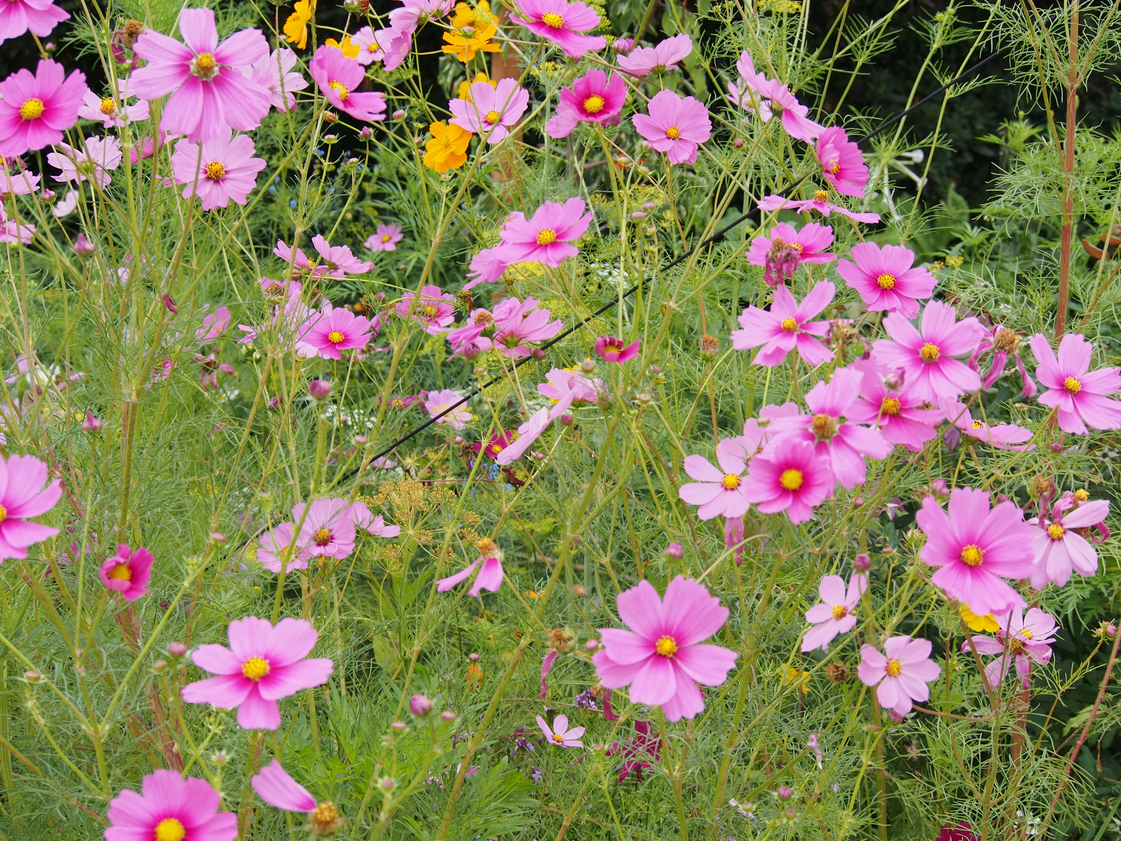 Photo by delassusdesign