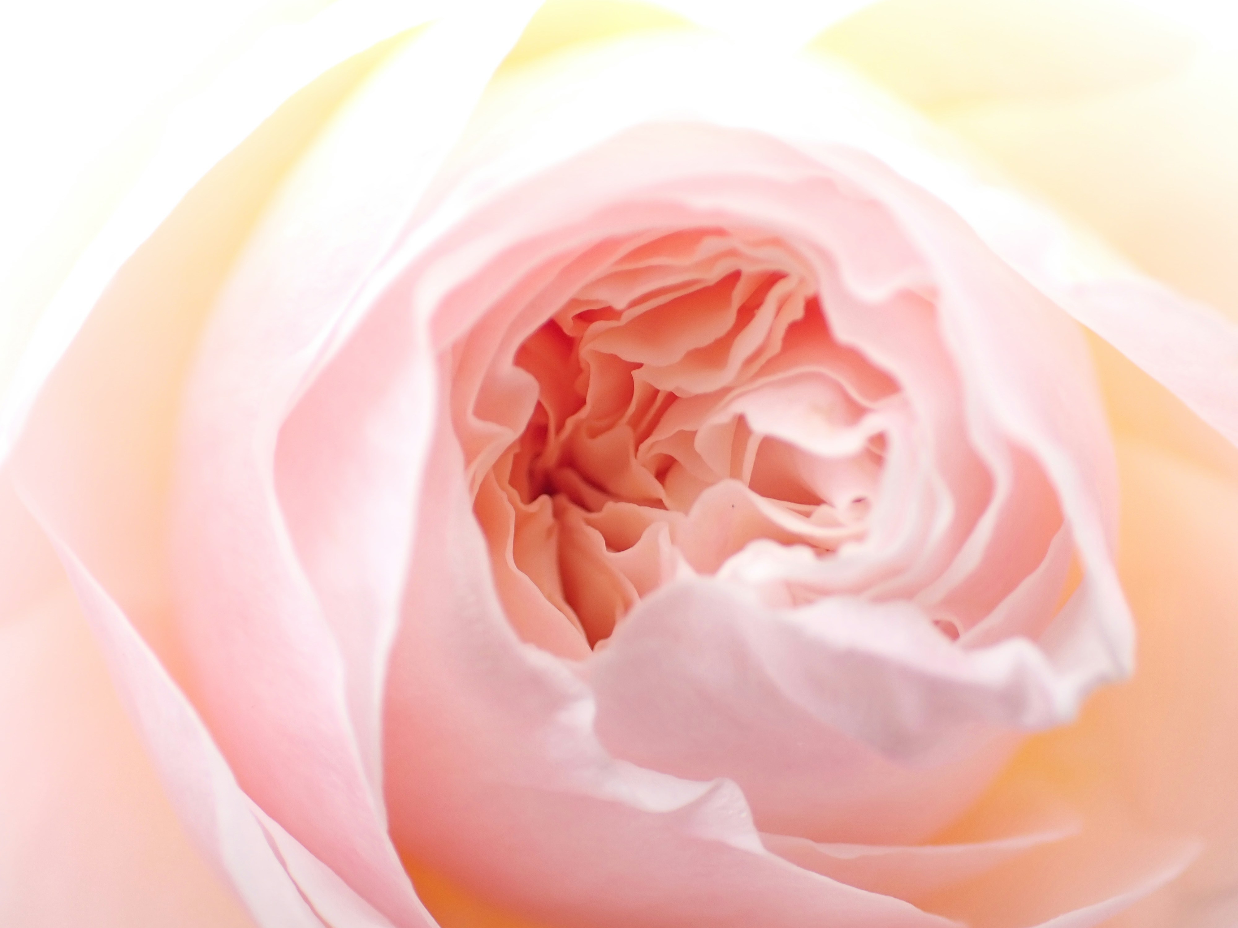 Photo by delassusdesign