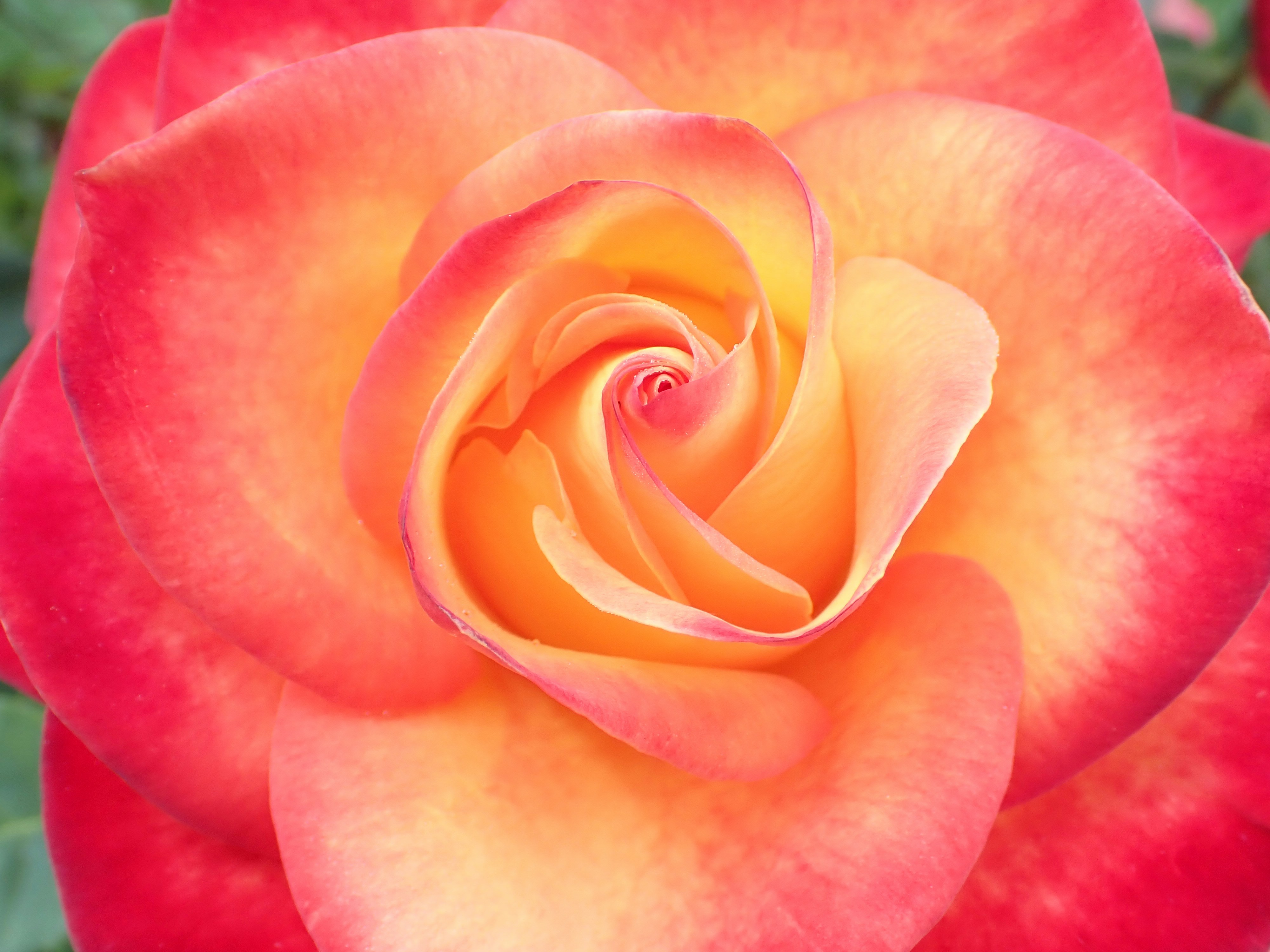 Photo by delassusdesign