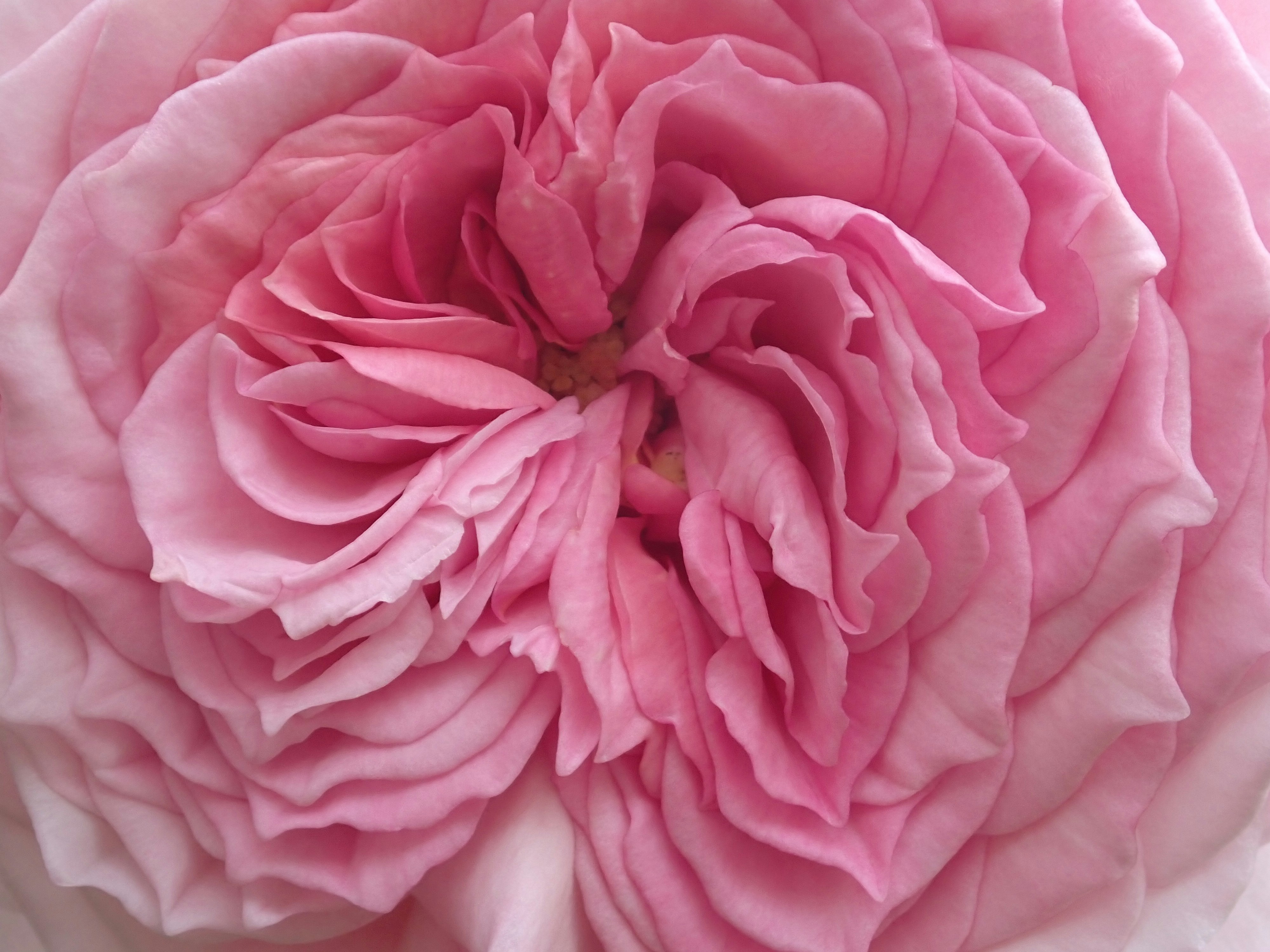 Photo by delassusdesign