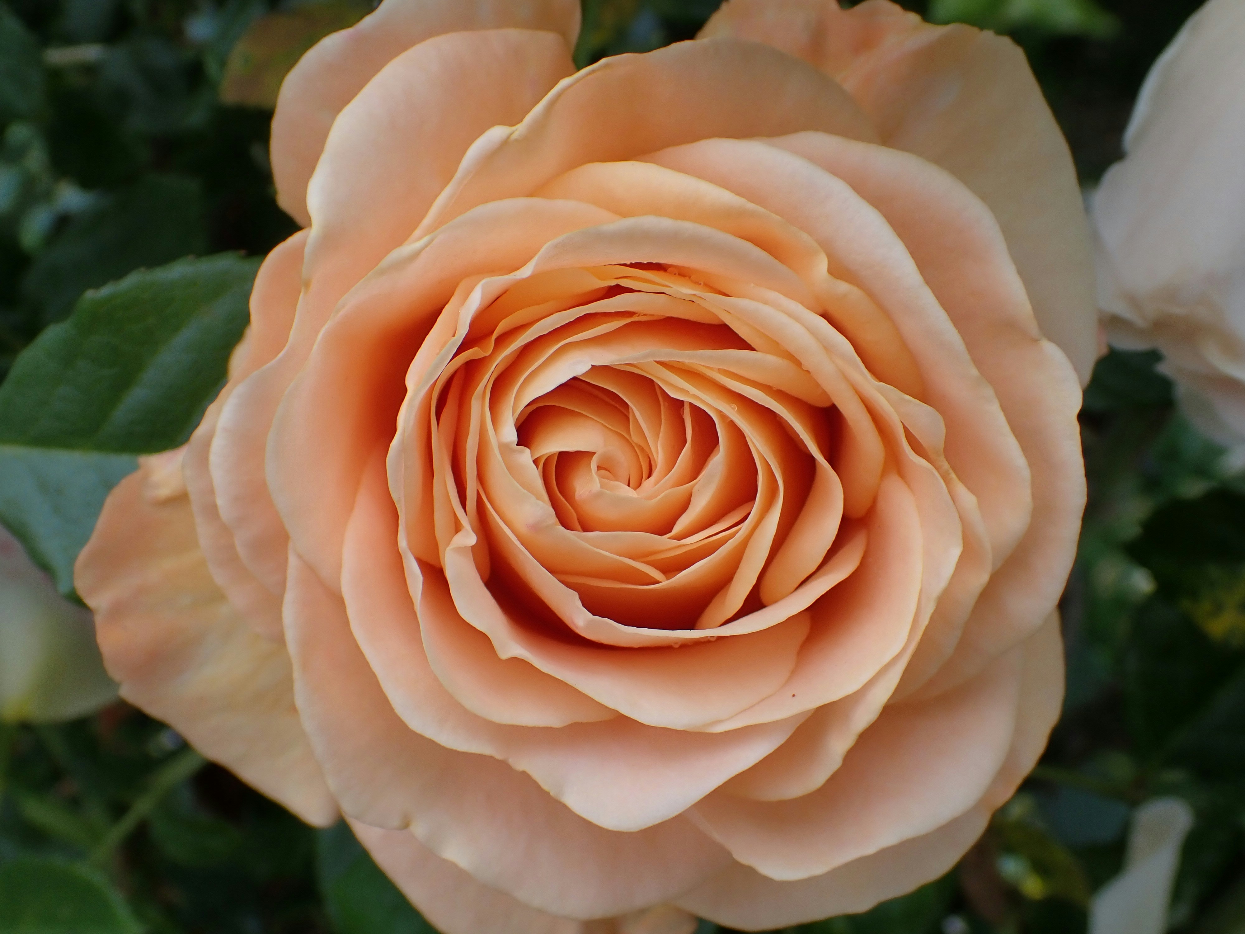 Photo by delassusdesign