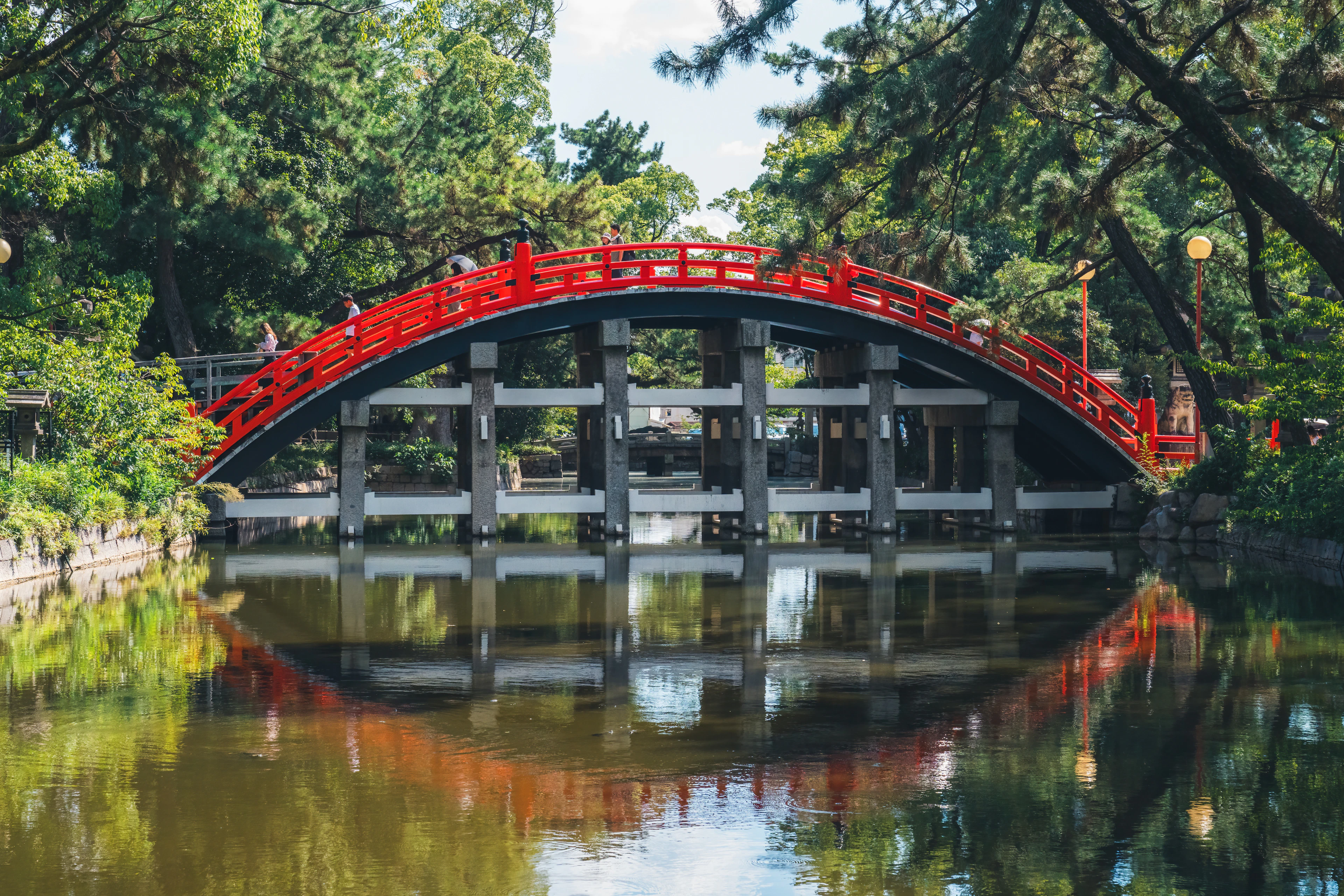 The steep vermilion Sorihashi drum bridge at Sumiyoshi Taisha in Osaka arching over a still green pond, its red rail and stone piers reflected whole in the water beneath the pines.