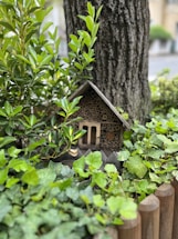 A small wooden insect house is nestled among lush green foliage and leaves, positioned against the trunk of a large tree. Surrounding the setup is a wooden fence, all contributing to a natural, serene garden setting.