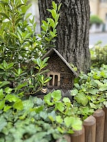A small wooden insect house is nestled among lush green foliage and leaves, positioned against the trunk of a large tree. Surrounding the setup is a wooden fence, all contributing to a natural, serene garden setting.