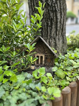 A small wooden insect house is nestled among lush green foliage and leaves, positioned against the trunk of a large tree. Surrounding the setup is a wooden fence, all contributing to a natural, serene garden setting.