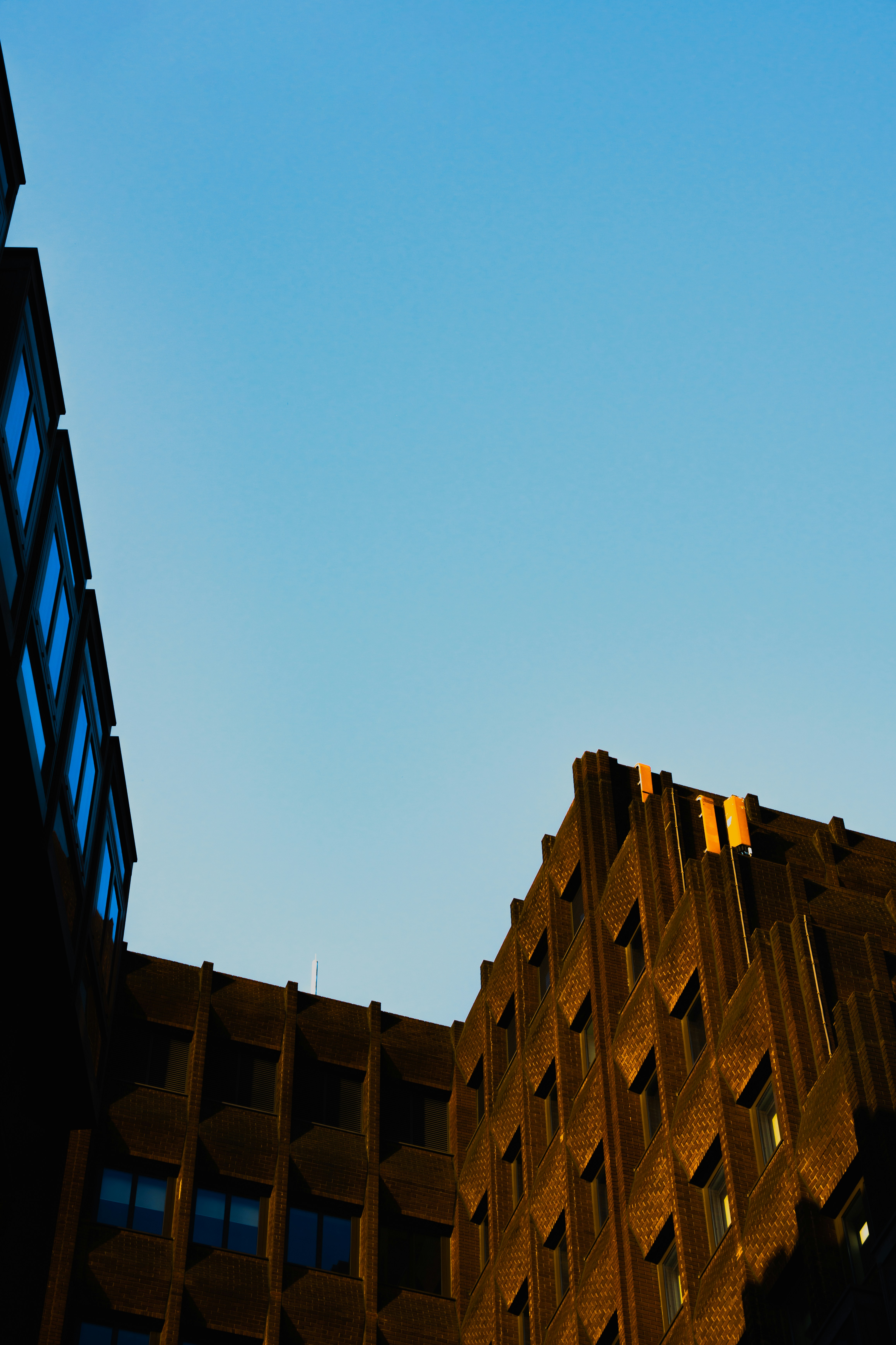 Photo by winstontjia