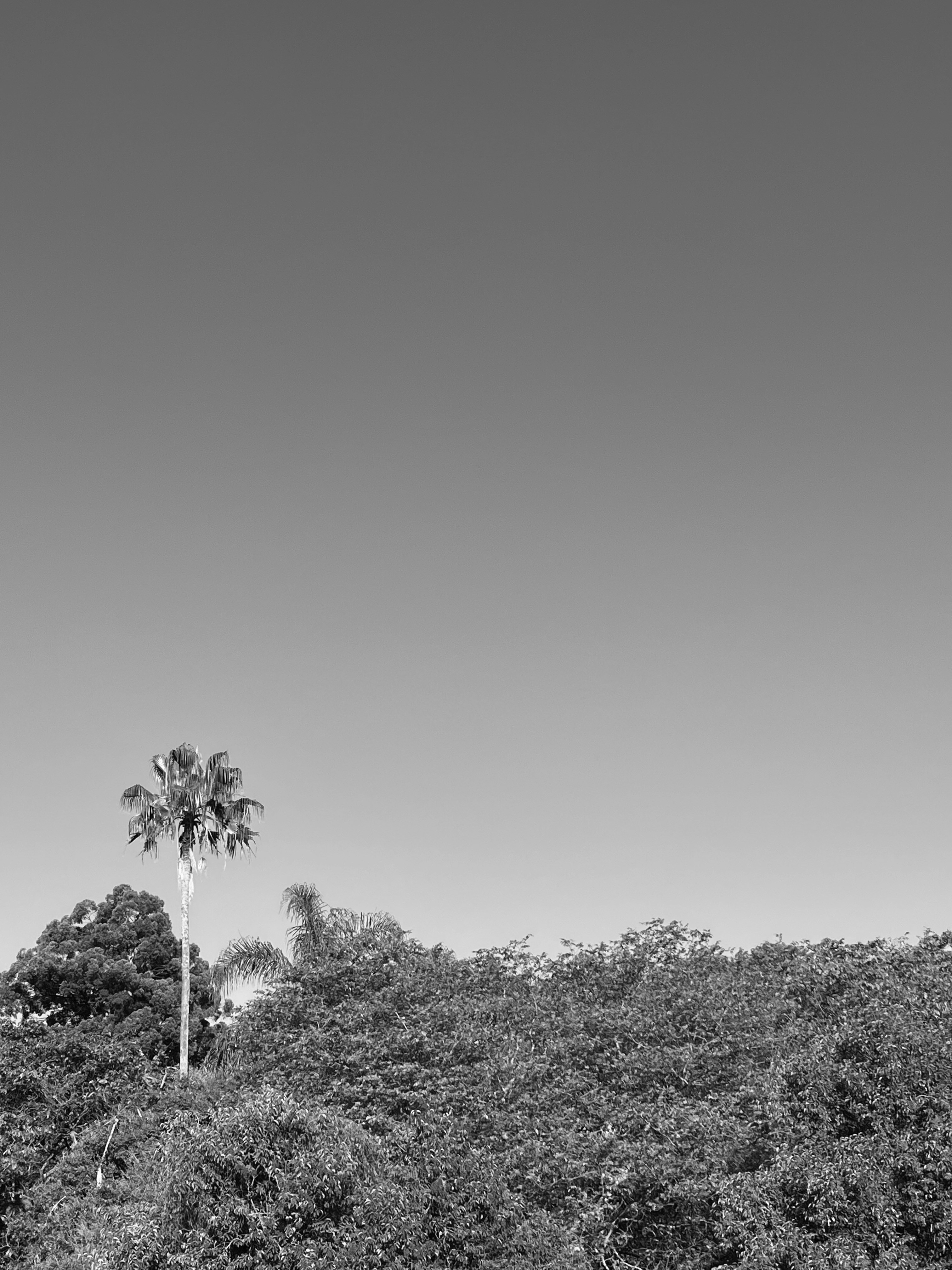 Photo by bernardomallegni