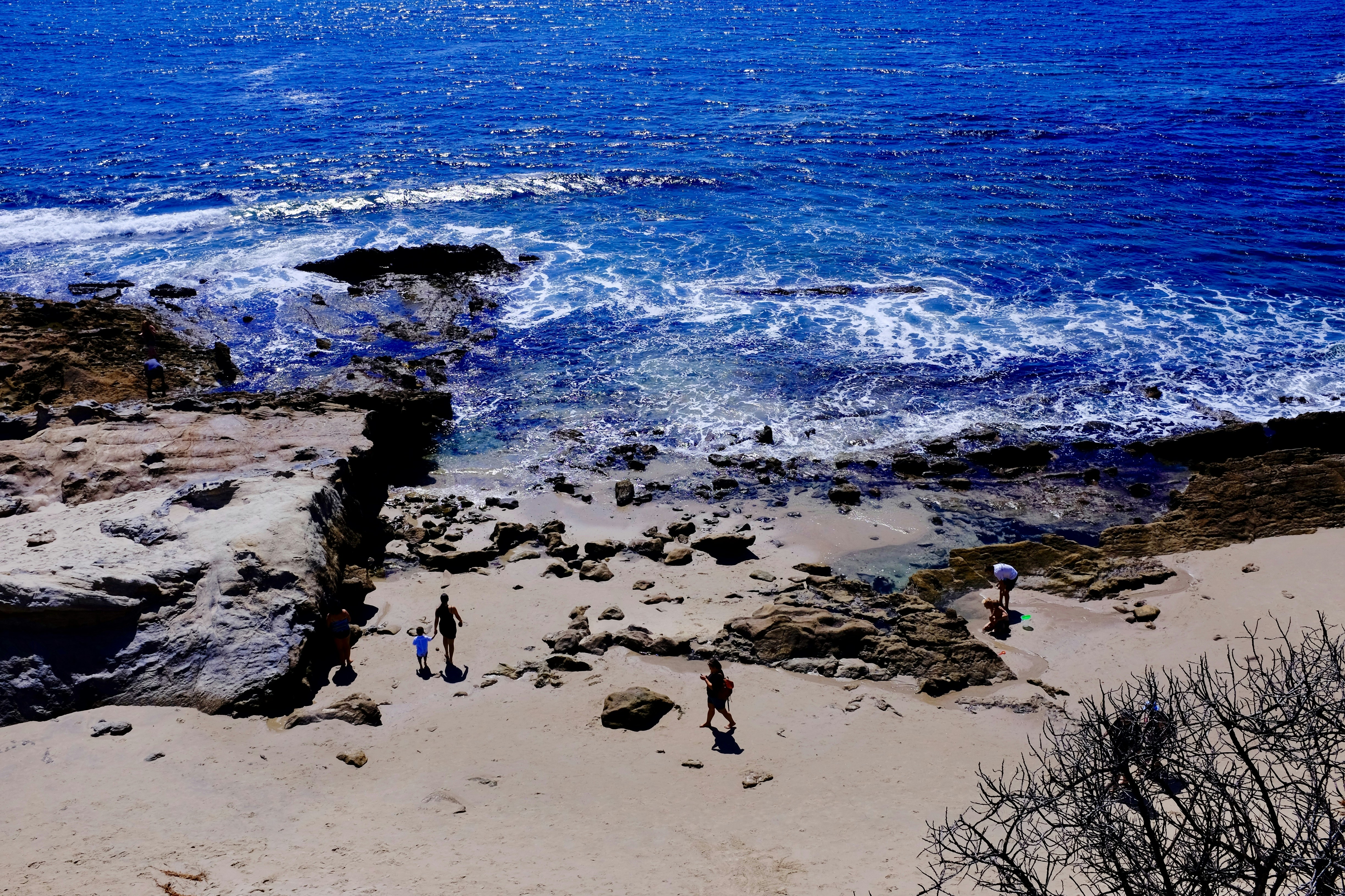 a group of people standing on top of a sandy beach, Tide pools at Laguna Beach California