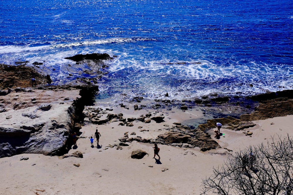 a group of people standing on top of a sandy beach