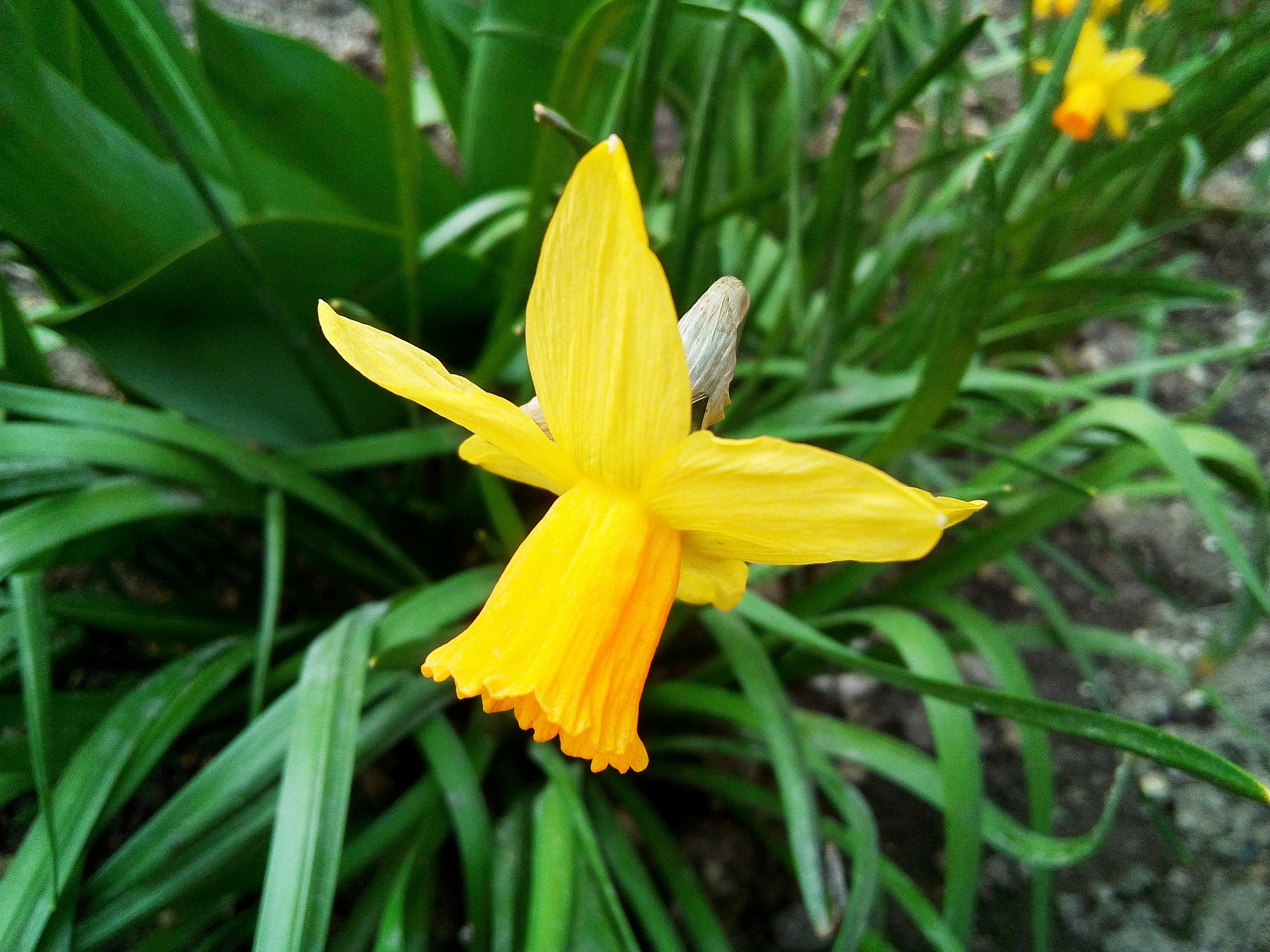 Photo by dmitry_burdakov