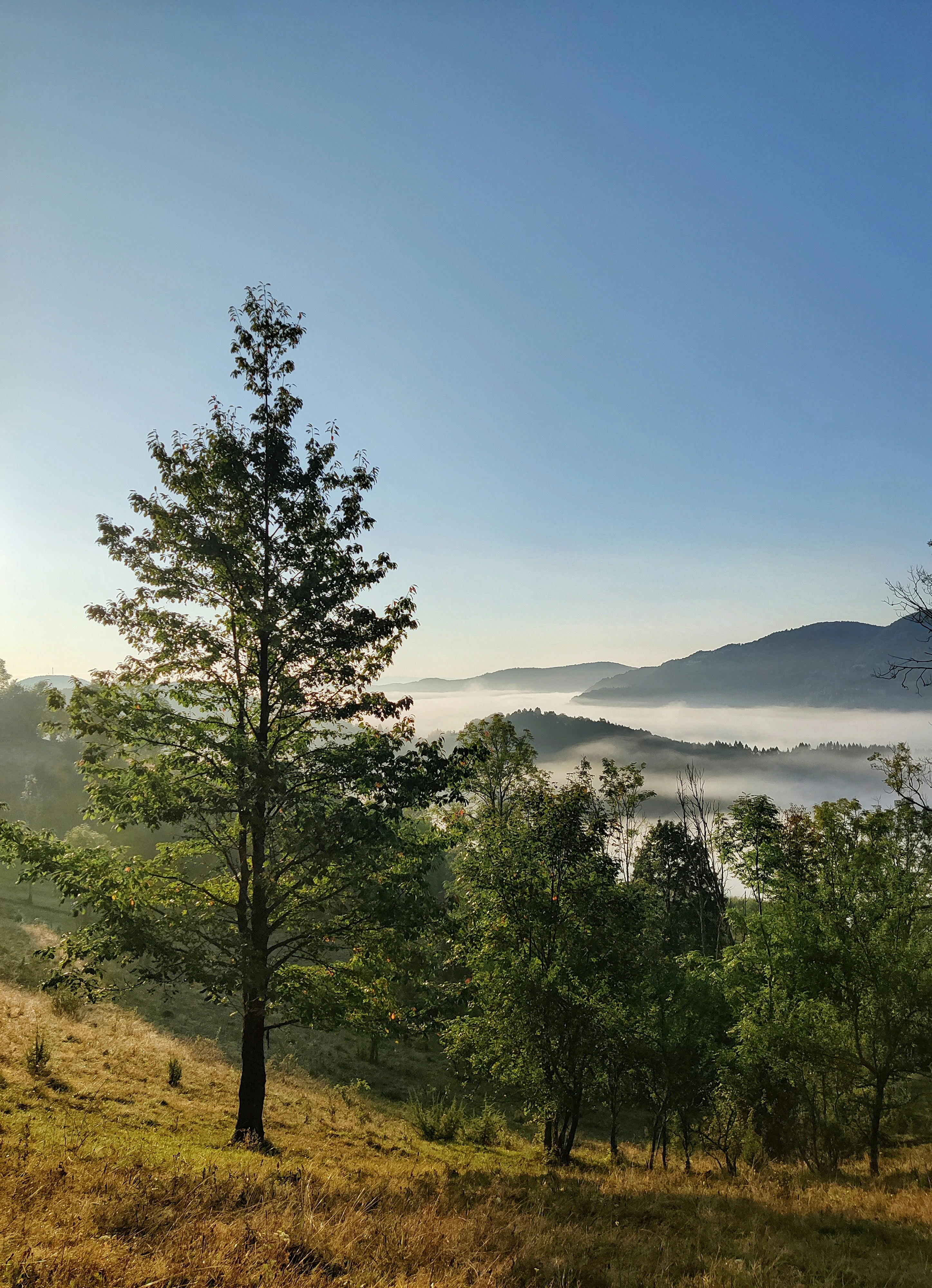 Photo by razvan_trif