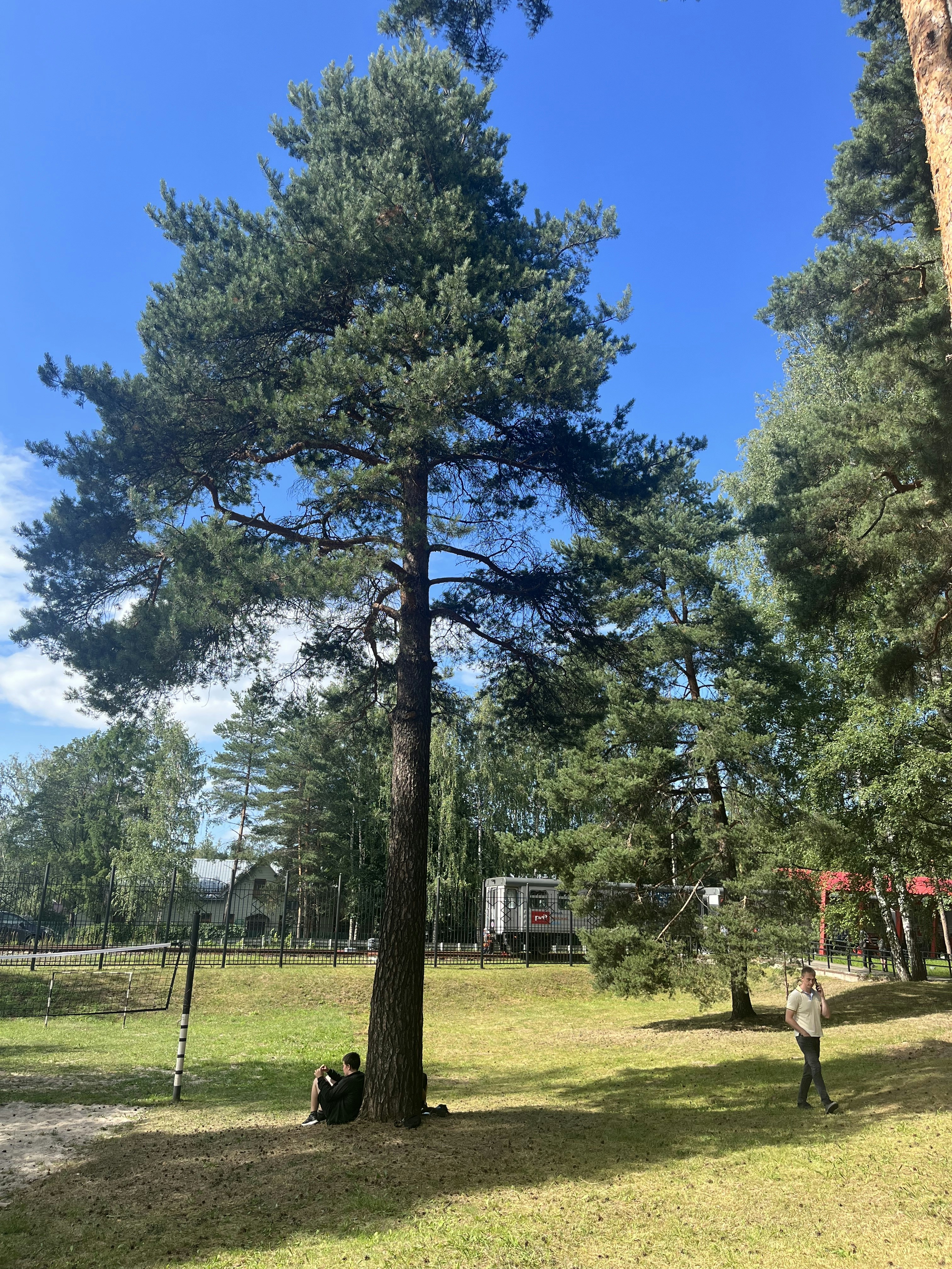 Photo by halcyonred2022