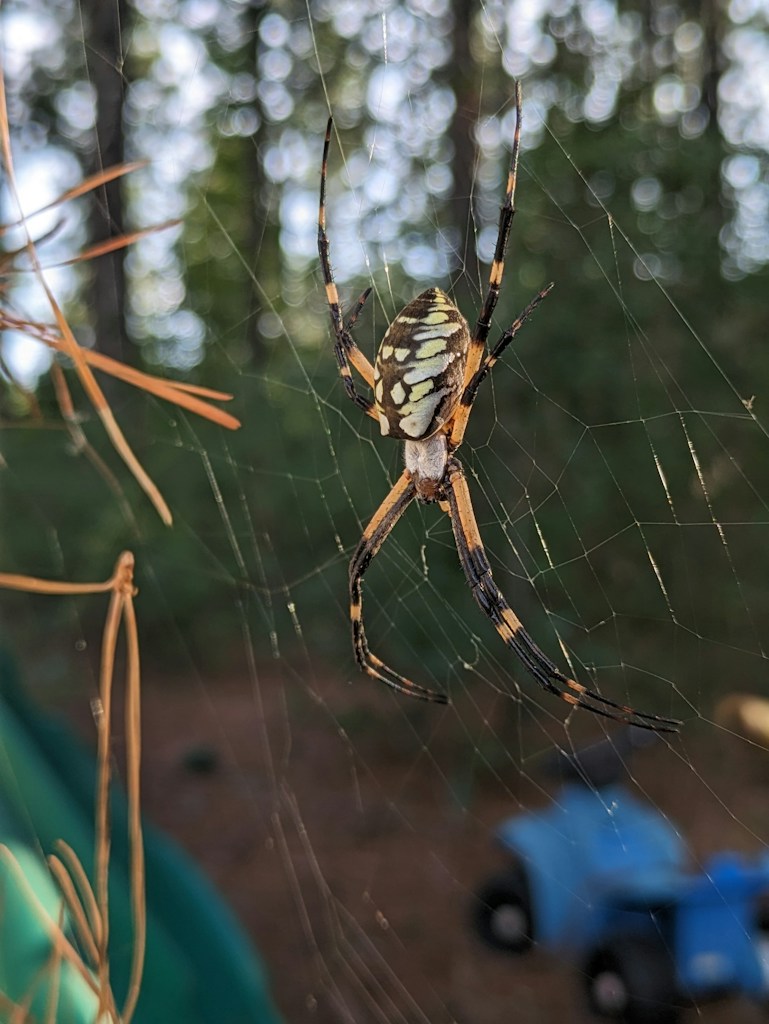 Anansi and the Moon