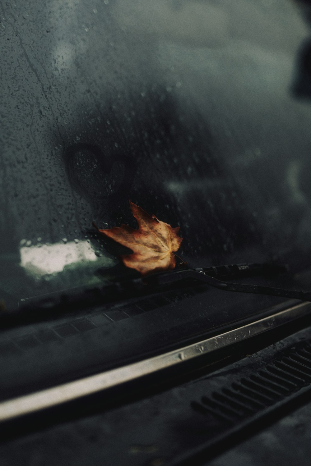 a close up of a window with a leaf on it