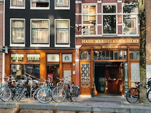 A street scene featuring two adjacent storefronts with bicycles parked in front. The left storefront displays the sign 'Sensi Seeds' with a classic black and wood facade, while the right is the 'Hash Marihuana & Hemp Museum' with similar architectural styling. Large windows with curtains line the upper floors, and a tree is visible on the right.