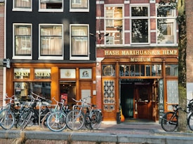A street scene featuring two adjacent storefronts with bicycles parked in front. The left storefront displays the sign 'Sensi Seeds' with a classic black and wood facade, while the right is the 'Hash Marihuana & Hemp Museum' with similar architectural styling. Large windows with curtains line the upper floors, and a tree is visible on the right.