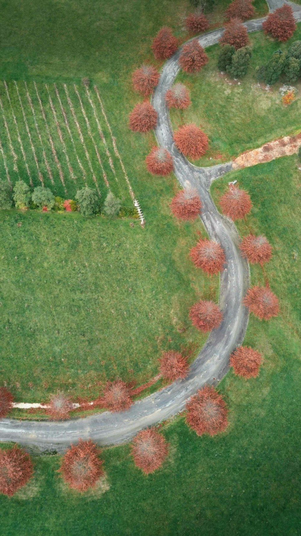 an aerial view of a winding road in the middle of a field