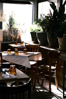 A cozy indoor restaurant setting with wooden tables and chairs, adorned with white tablecloths and amber-colored glassware. Lush green plants in large pots decorate the area next to a sunlit window, casting soft shadows on the floor.