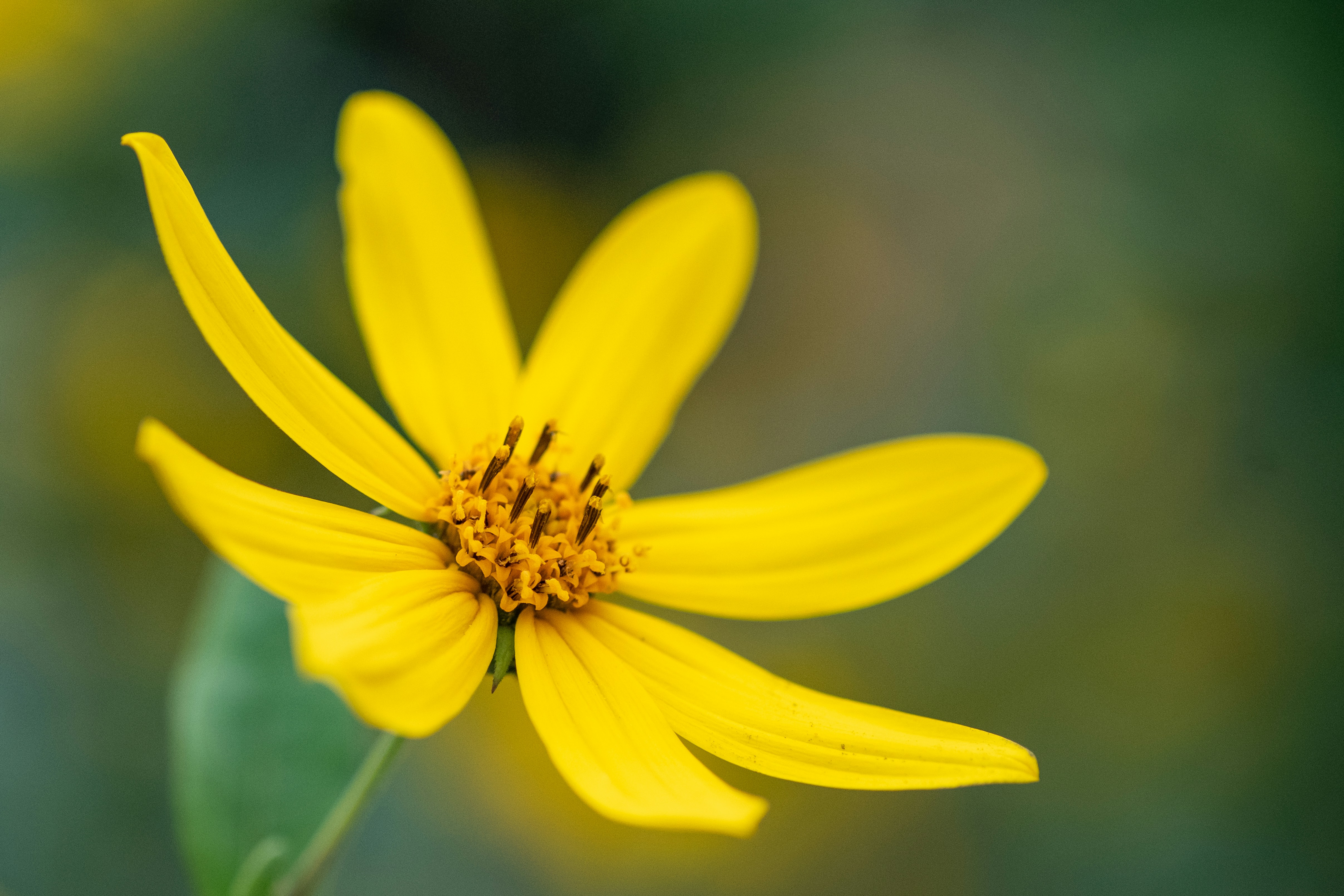 Photo by correliebre