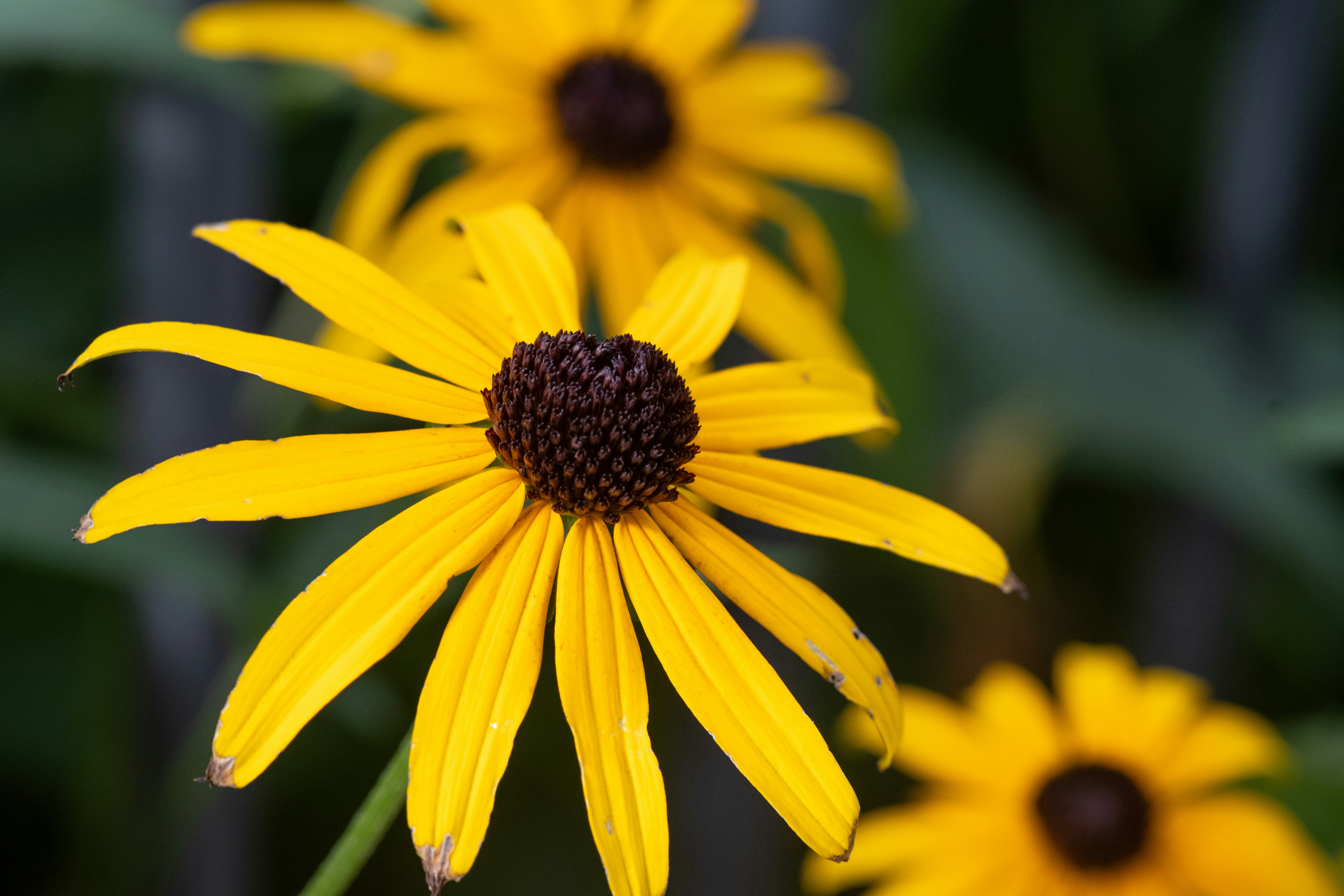 Photo by correliebre