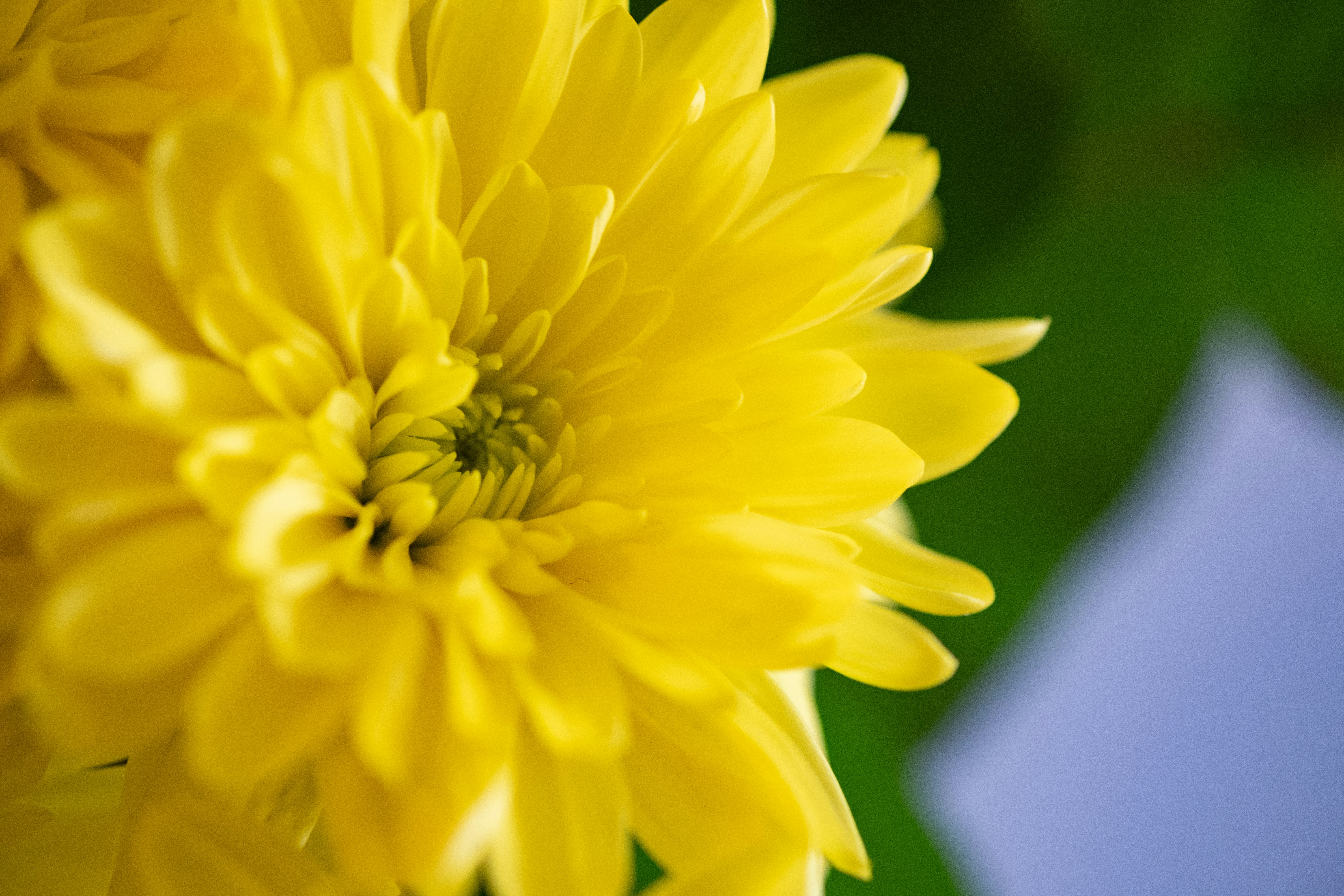 Photo by correliebre