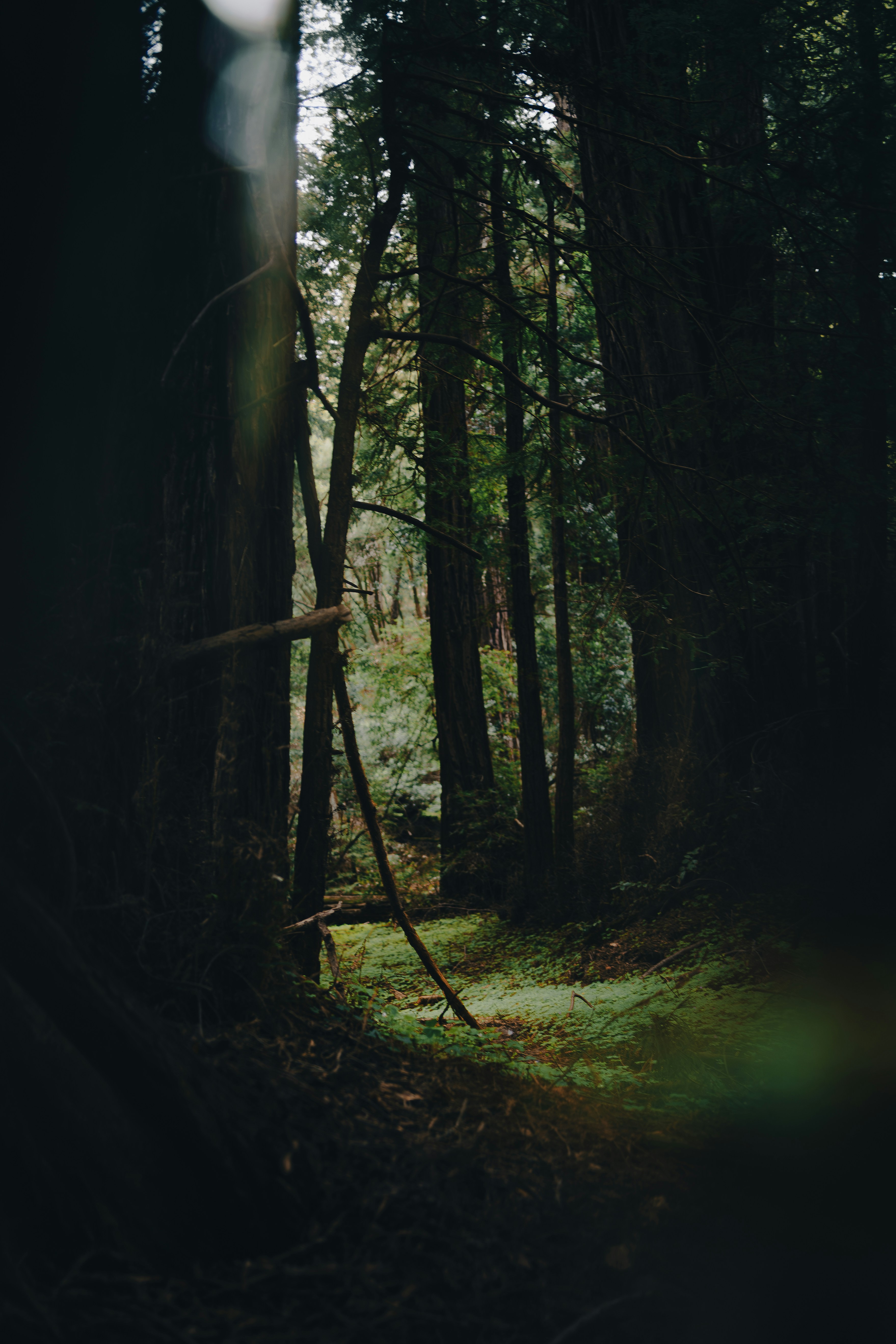 Photo by kalaniparker