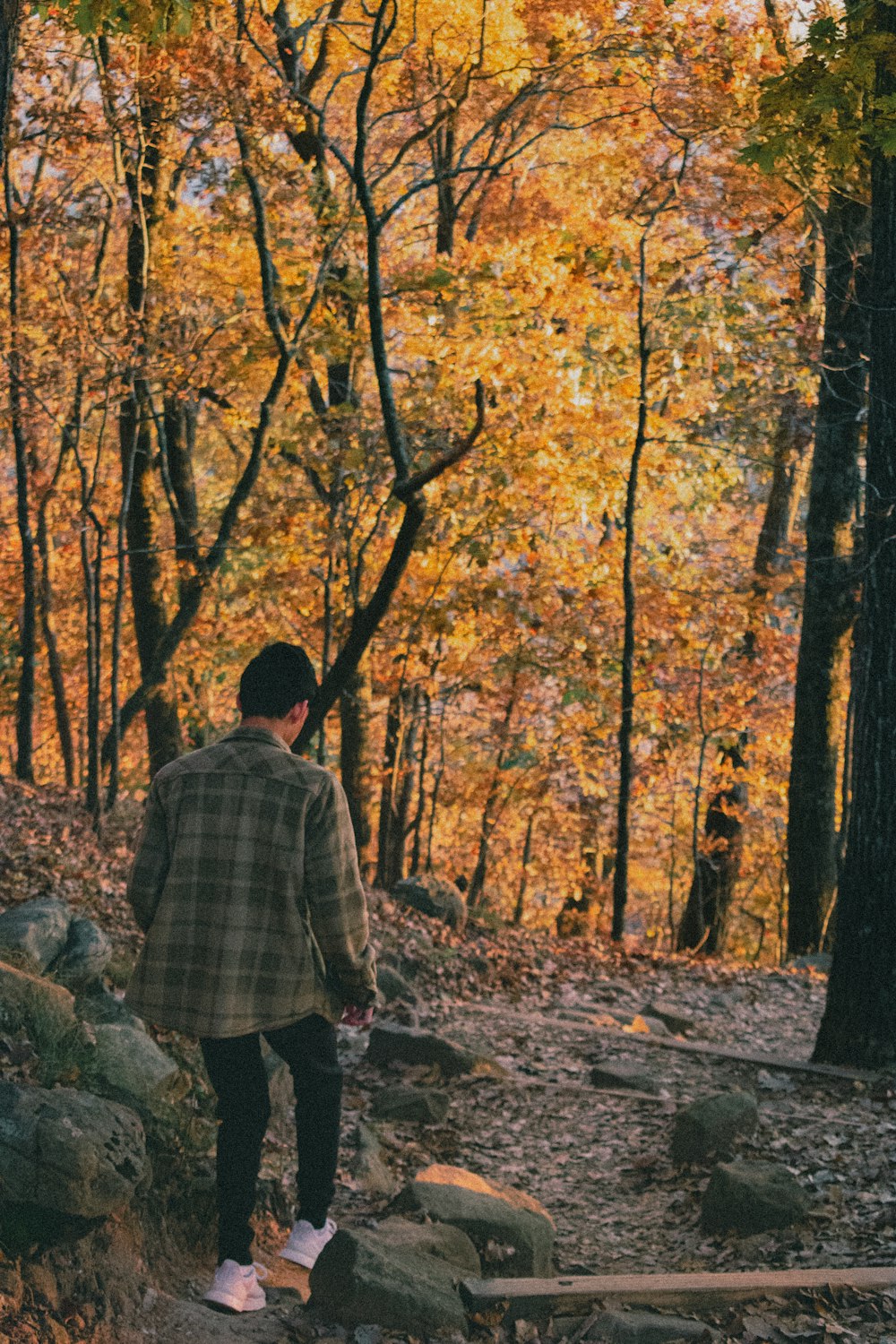 Un uomo che cammina lungo un sentiero nel bosco